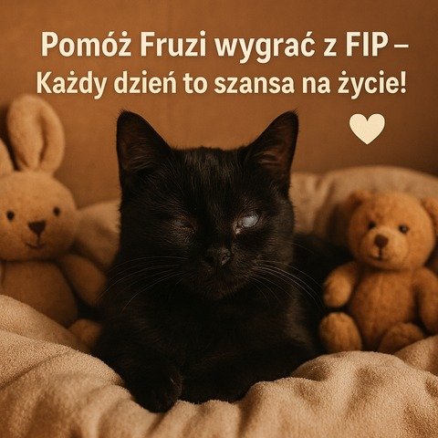 QPe8bgy6t8EanbkR.jpg