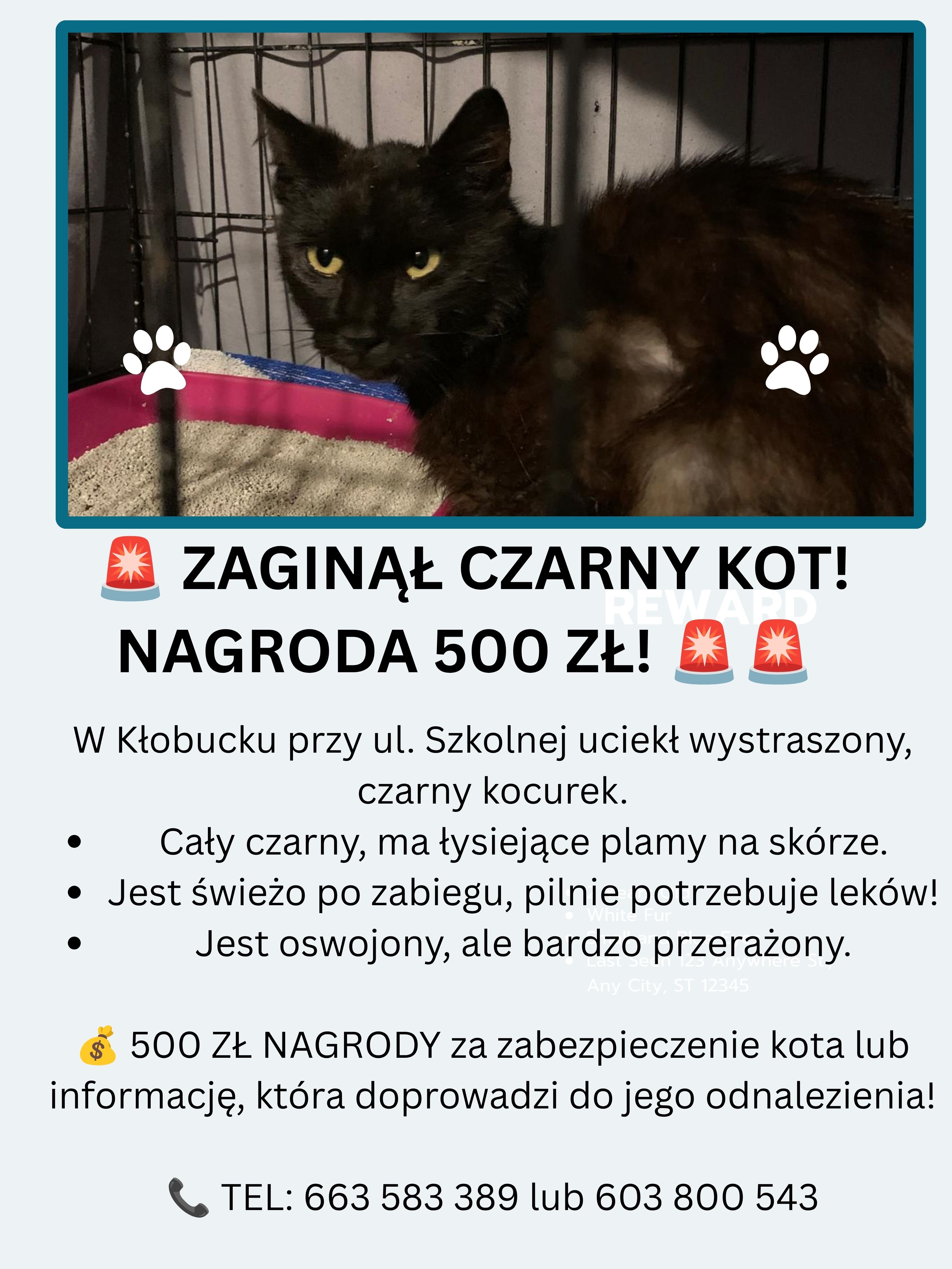 pQp57zotp9BgTrZj.jpg