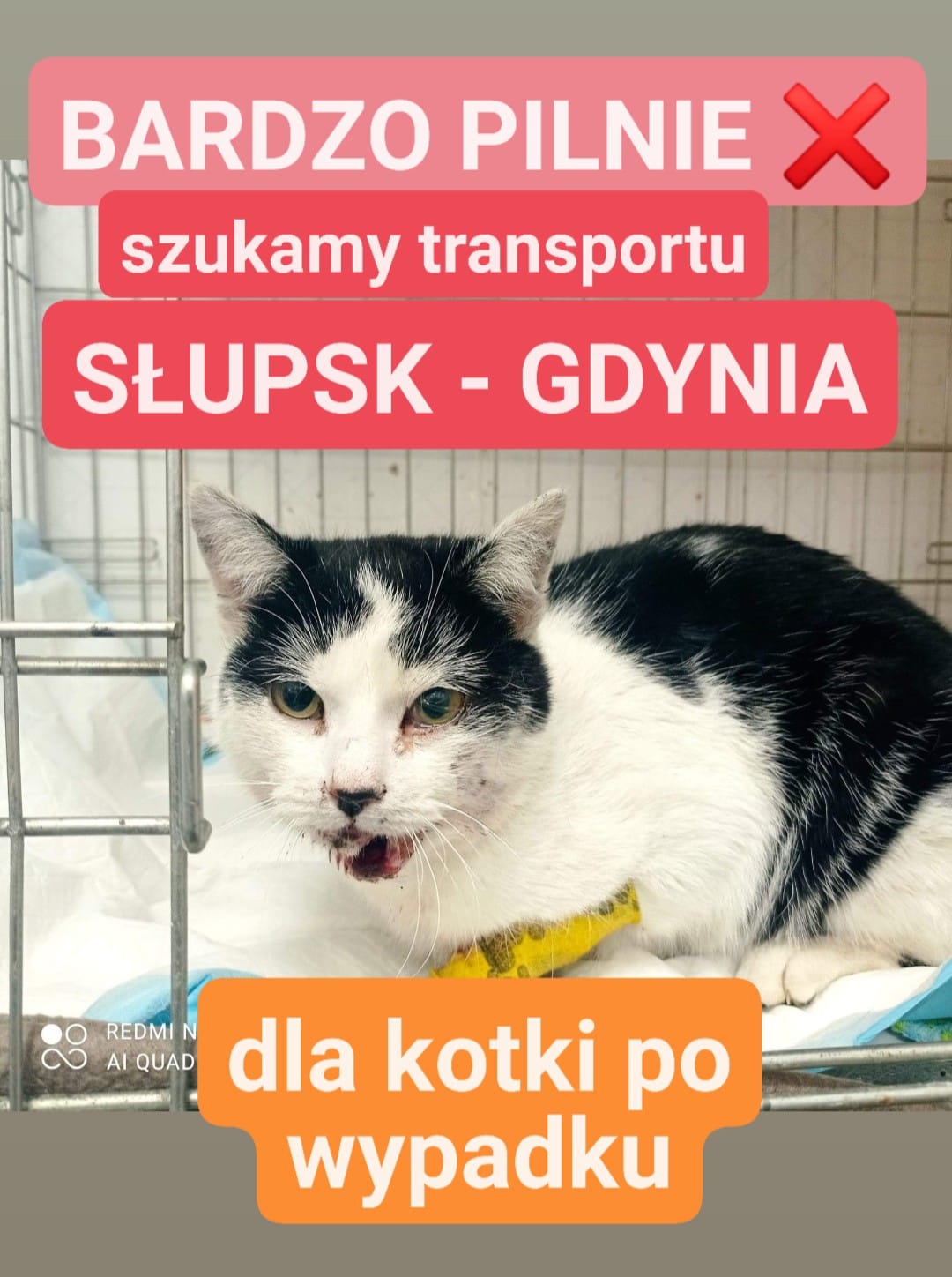 d5ccffb7fb4b0f9e.jpeg