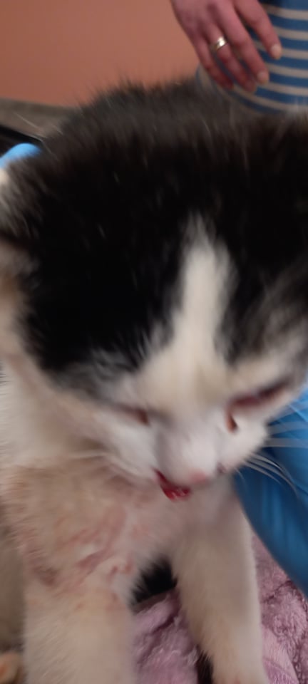 o296c2ae0a03b8da.jpeg