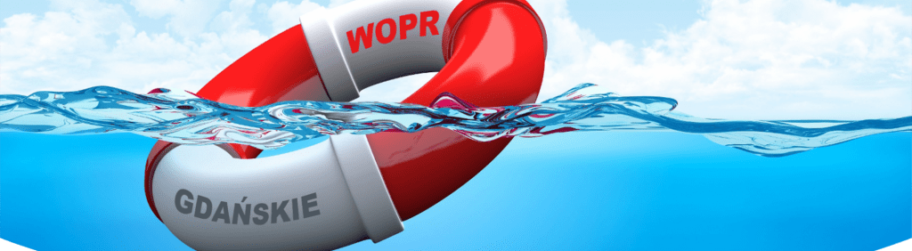 Wok1lA4HpXK7bB12.png
