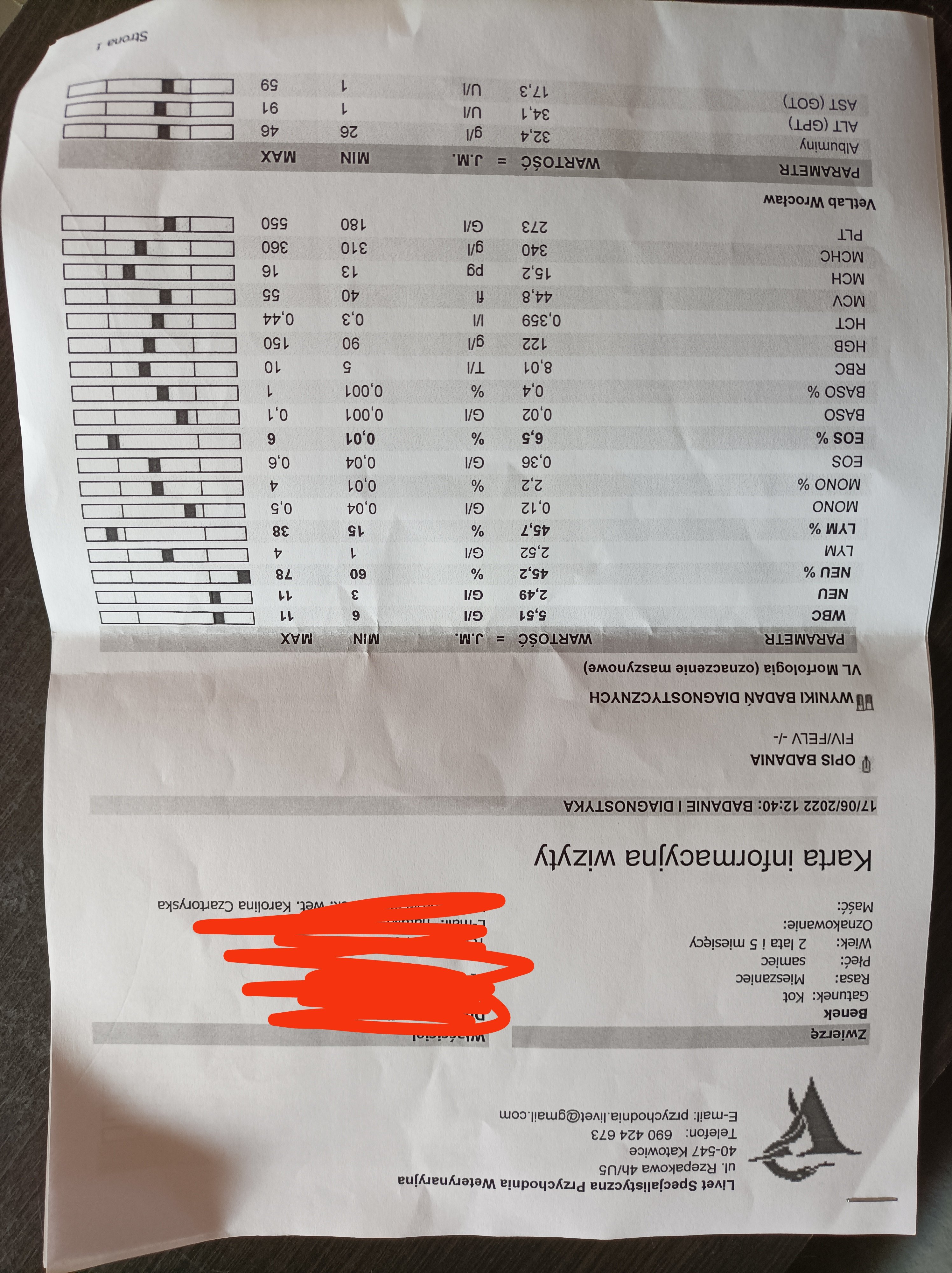 efb795e019b173ea.jpeg