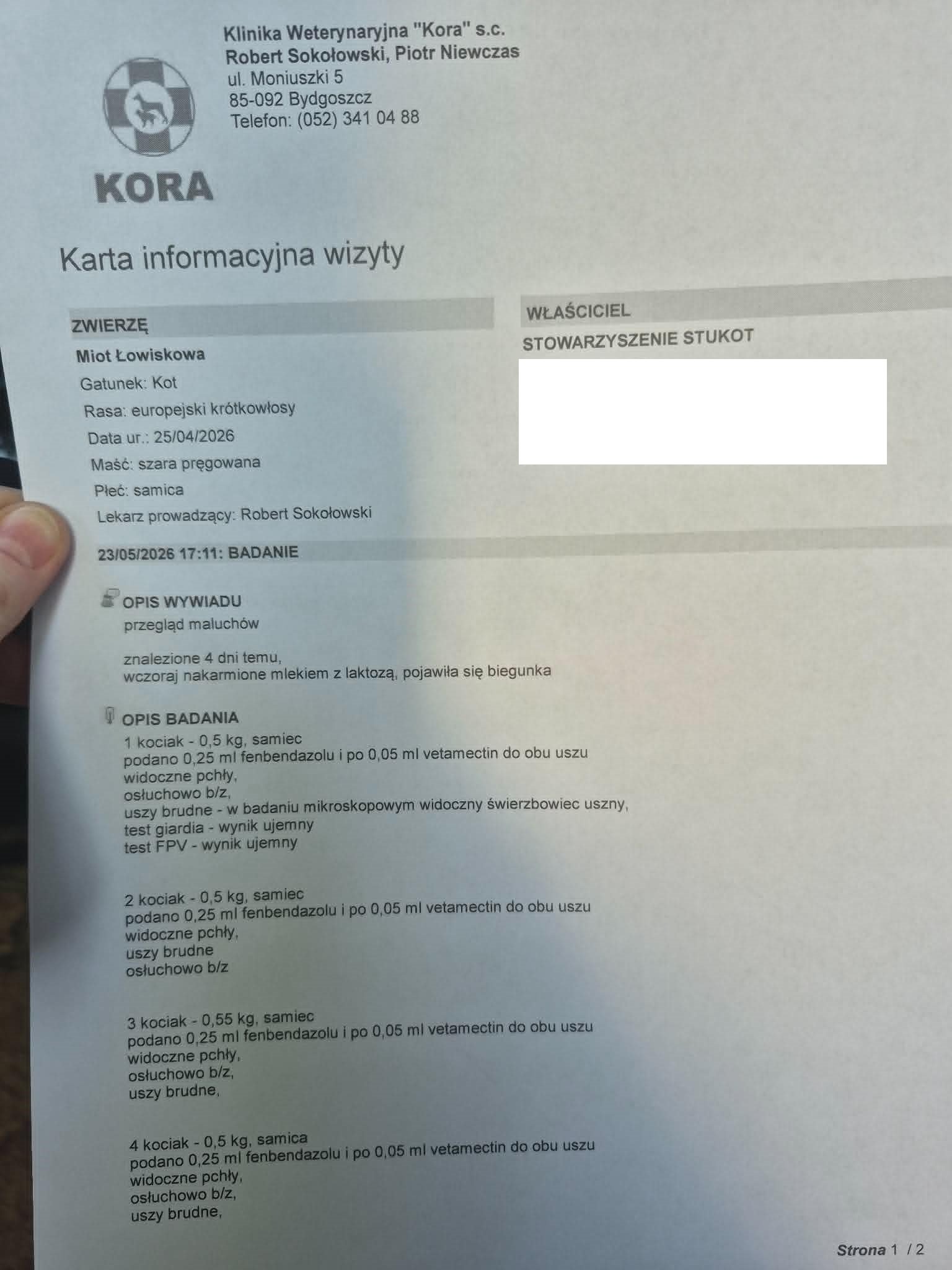 dVntHvov1PxAPRFg.jpg