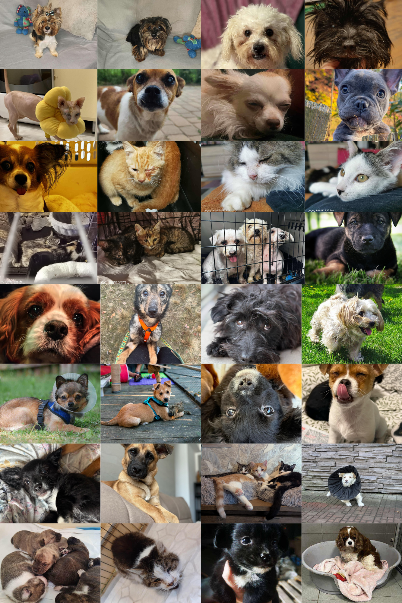 xNvHQ4RU3CdprHUc.png
