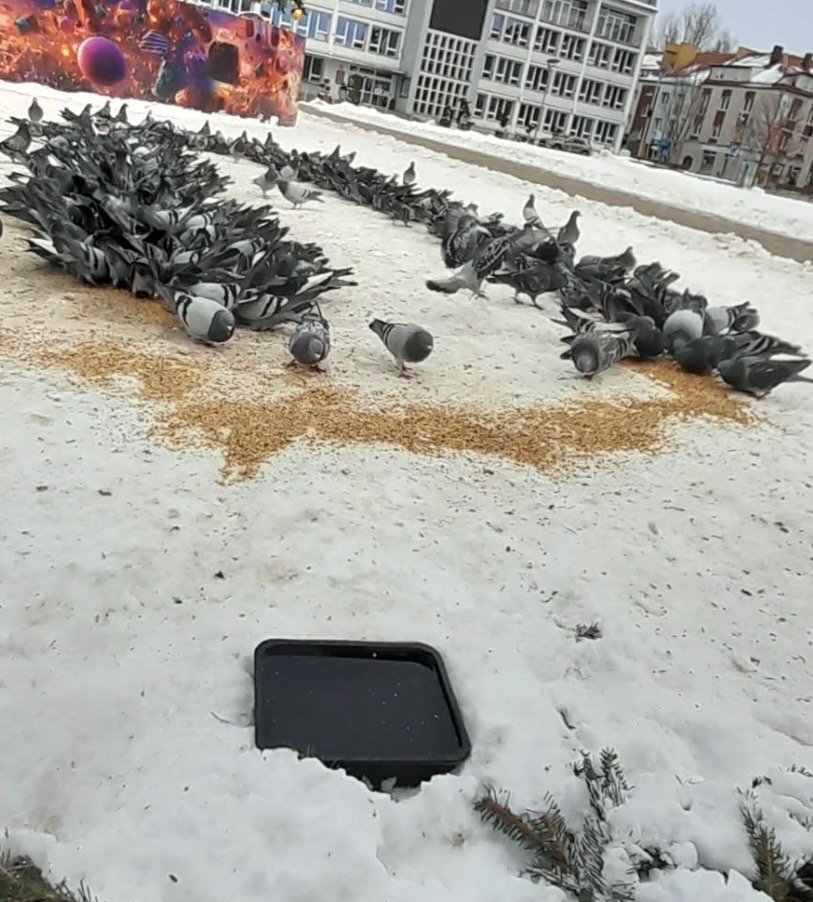 gYYsgiSvbGgkSuXQ.jpg