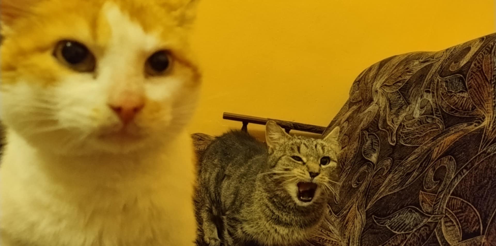 4JO8BJydthfAeBqM.jpg