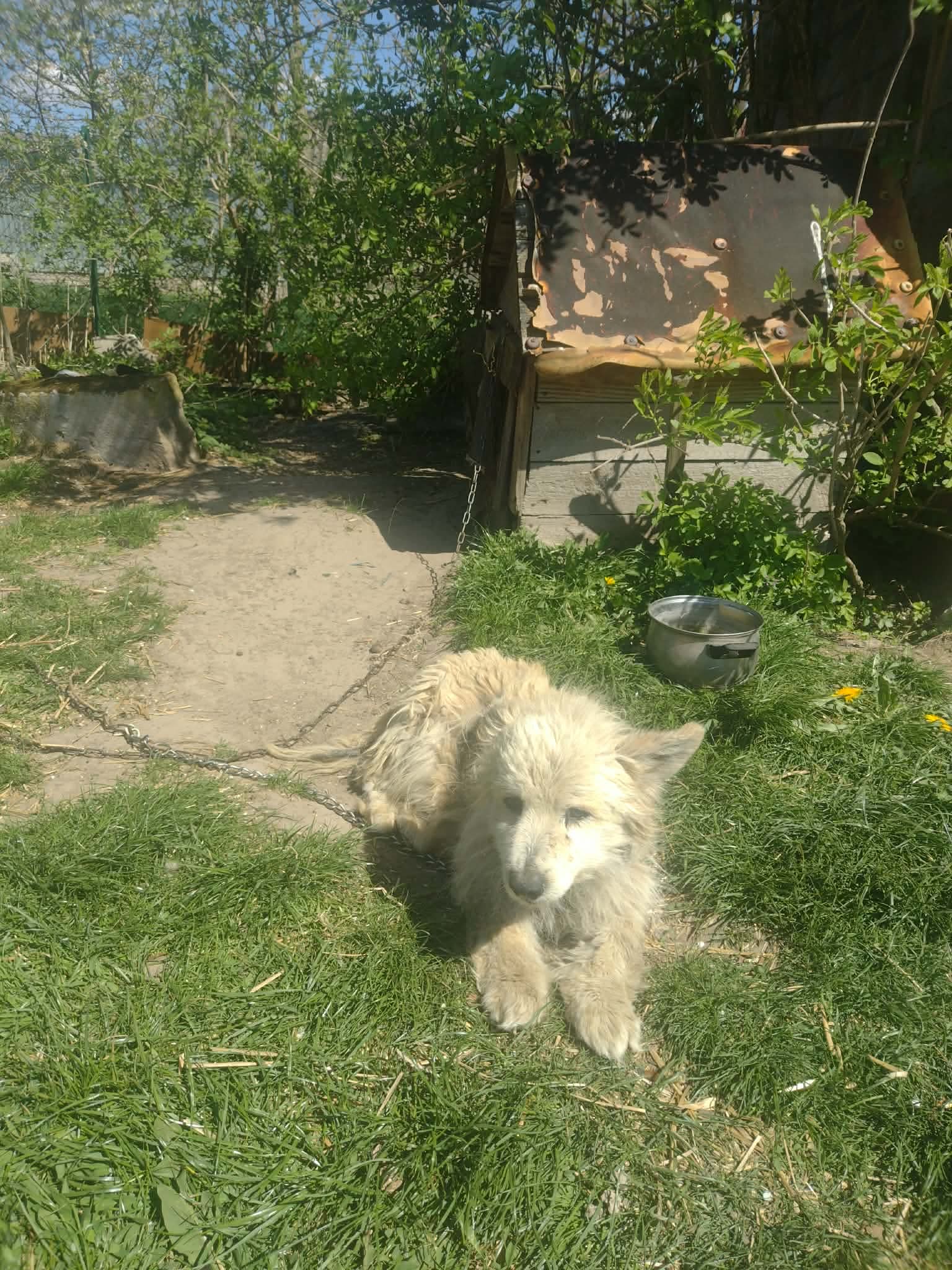 sB0phdf4bgPqAAVG.jpg