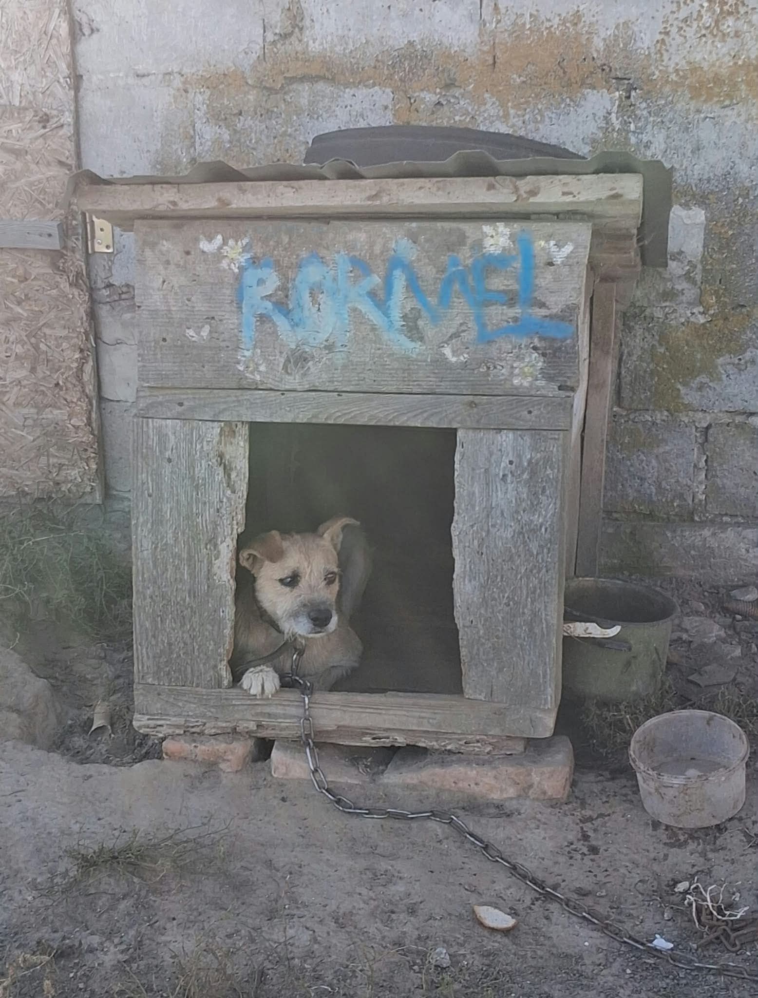 H1llgo5xVjxq0kCU.jpg