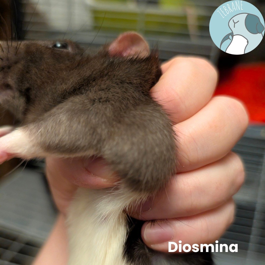w8zJX2KuFtueZK8B.jpg