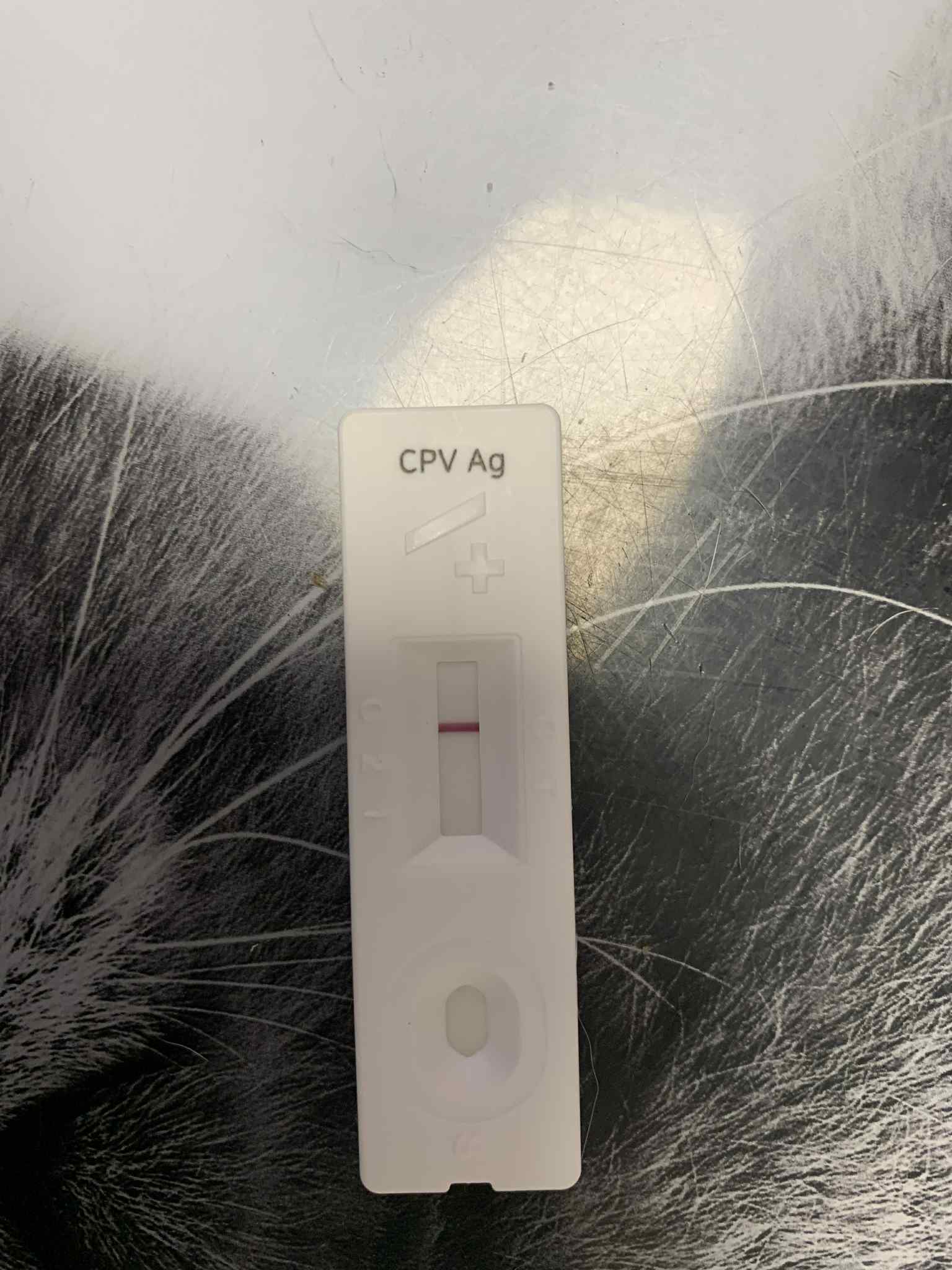 p1IMpvXyPhswqRhU.jpg