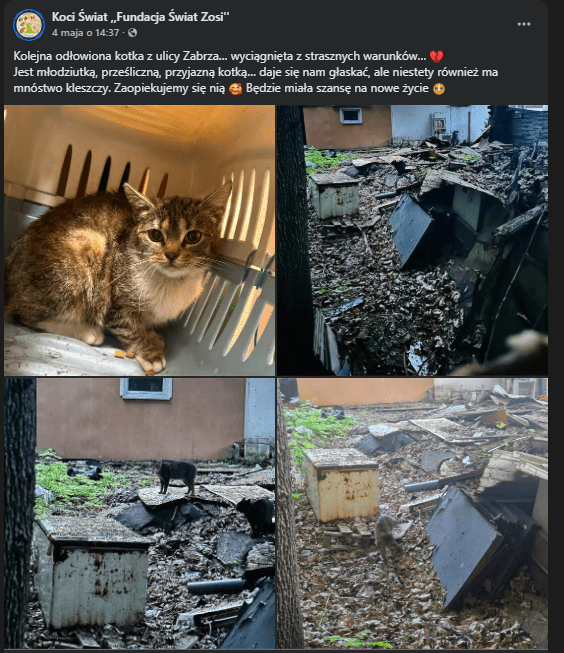 mrmSgOksePXWrN15.png