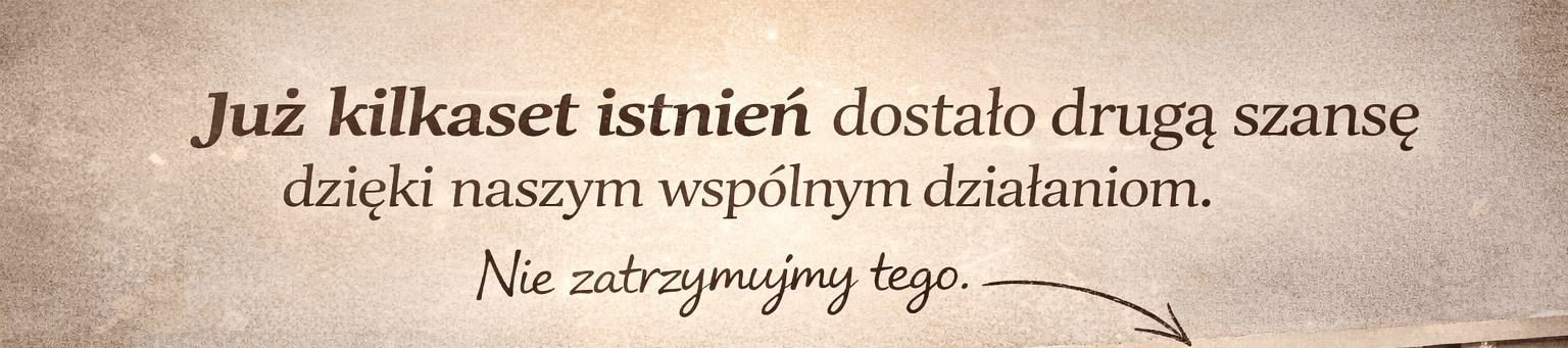 sfDhgWA6MKMJ7QAT.png