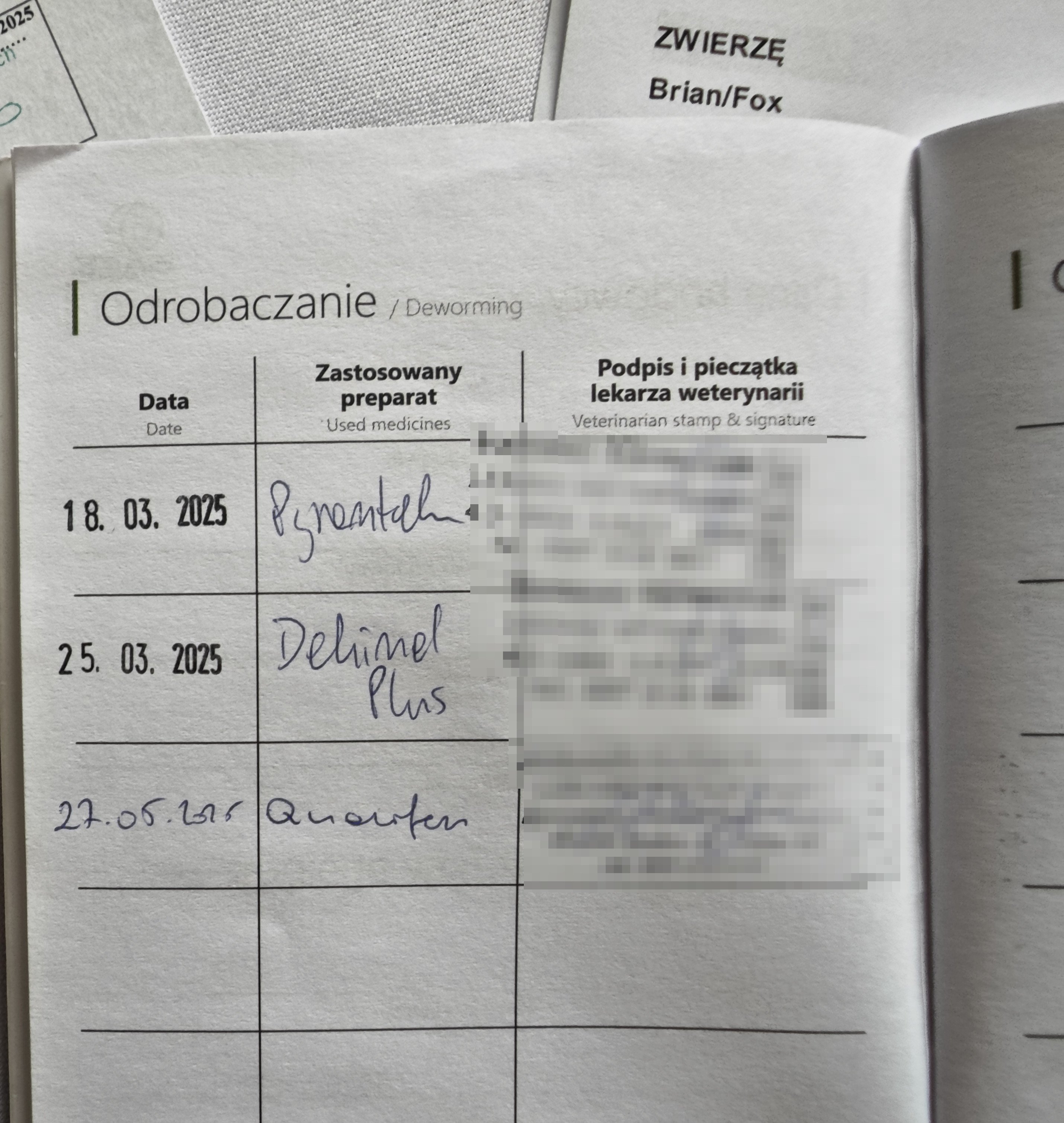 zcgROj8DQt0TYcQj.jpg