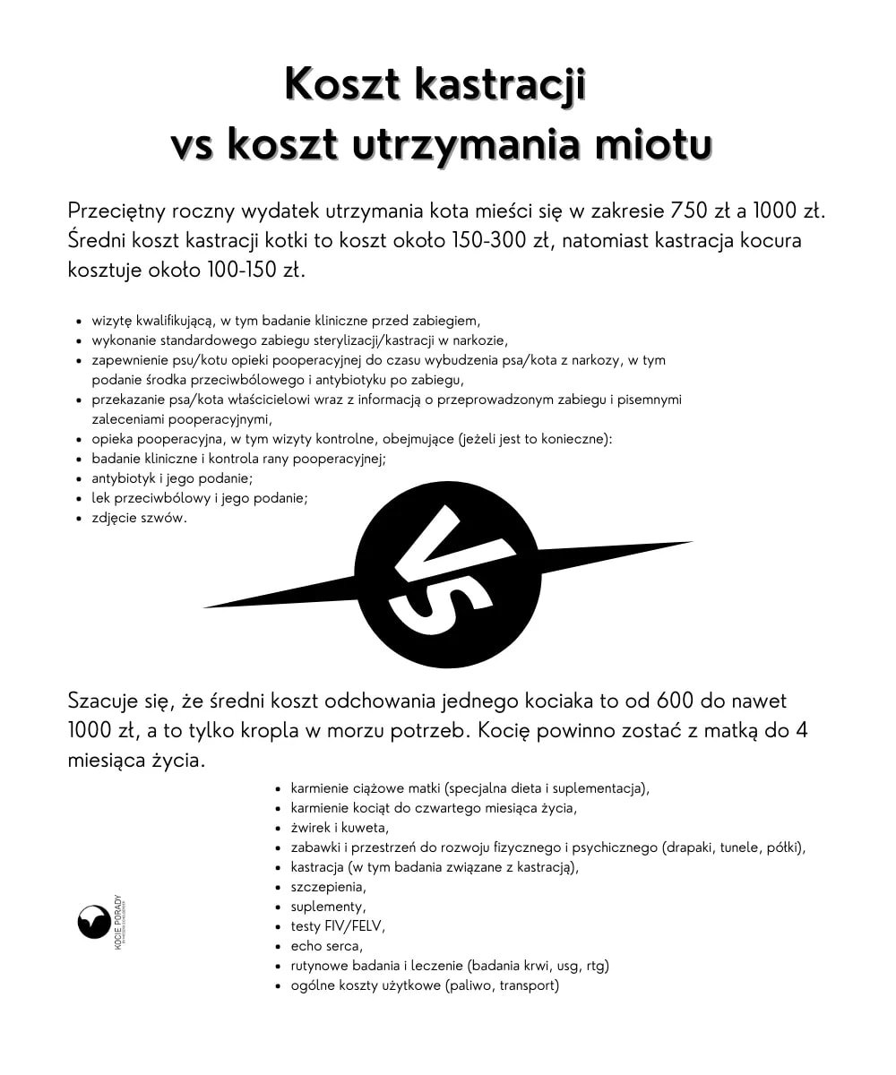 6CvdPeci05jyxDzZ.jpg