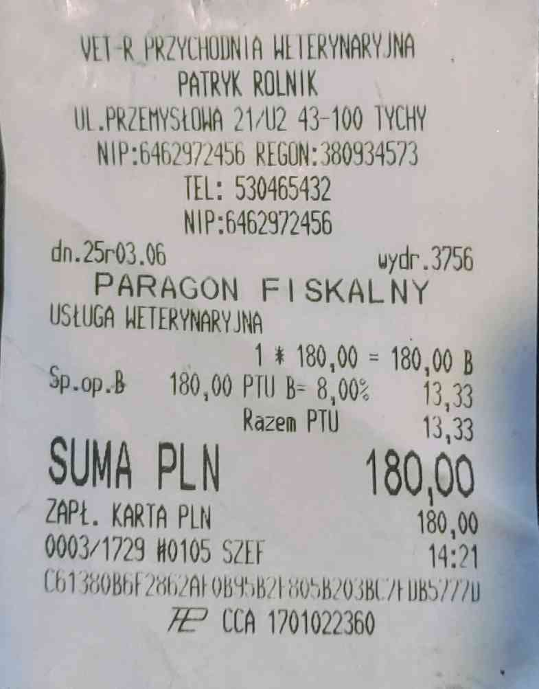 TdXpTEjmvkyA3TJS.jpg
