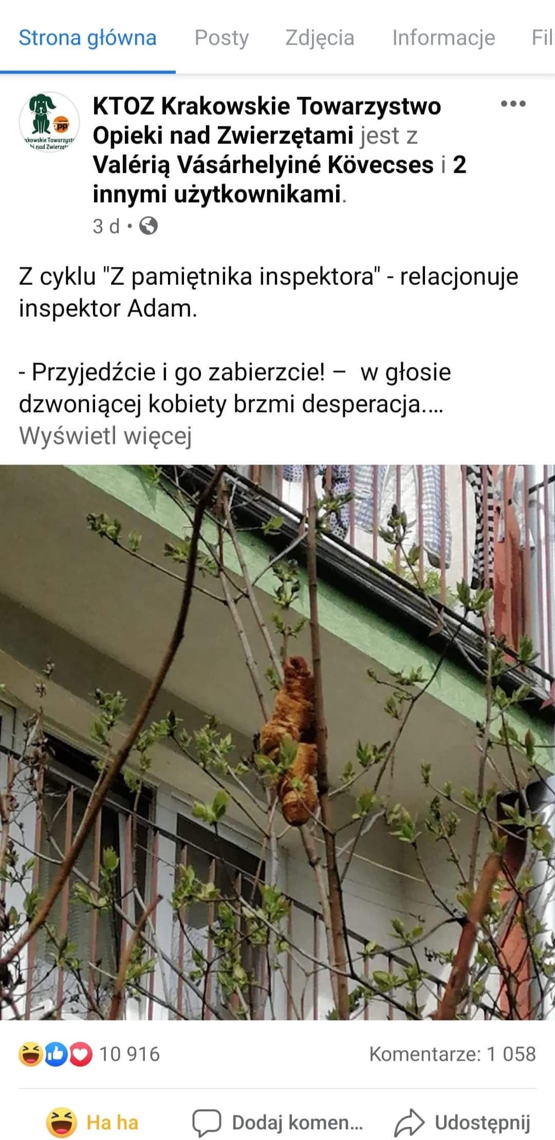 v8dcbea1d2c20e79.jpeg