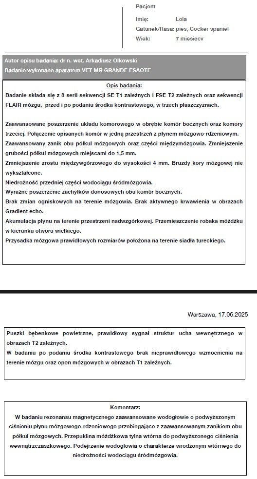 JrOkVk5w0NCLlZM7.jpg