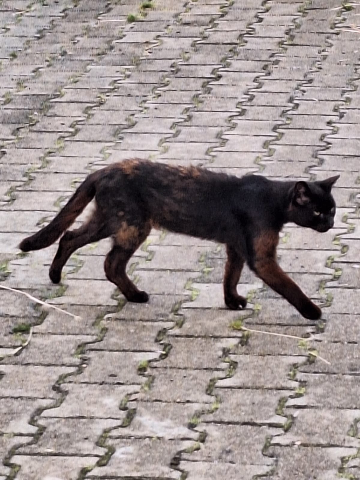 qAvBLA27XFJHGvFq.jpg