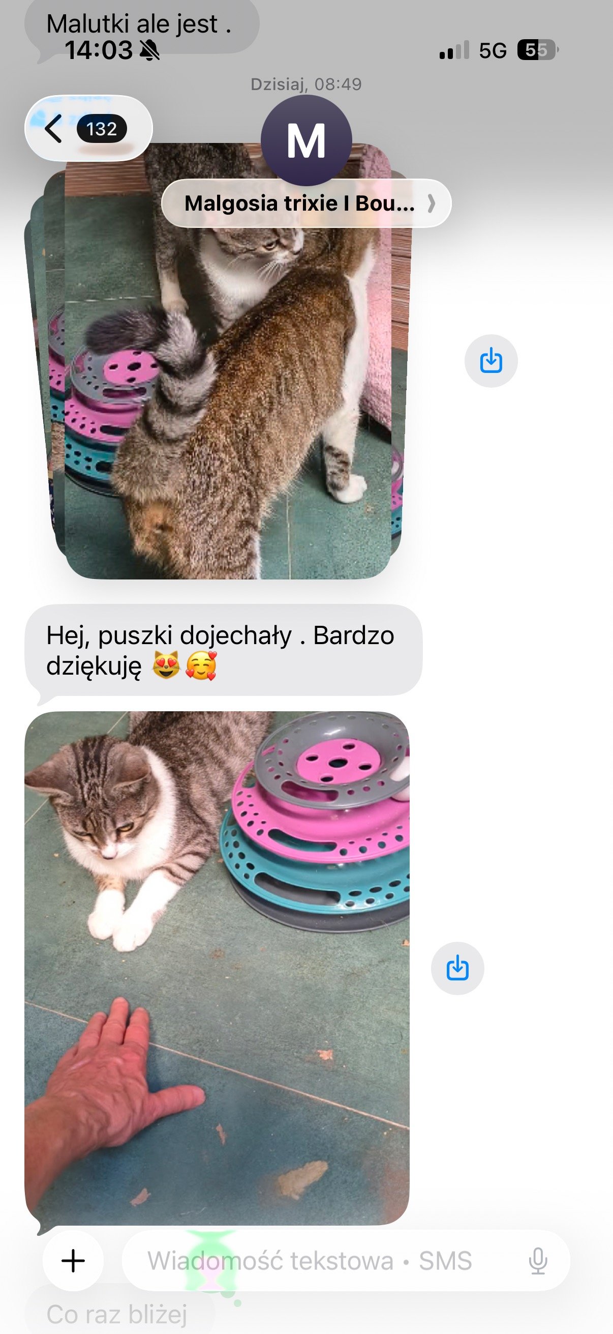ZCDT9NFORsJlOzXX.jpg