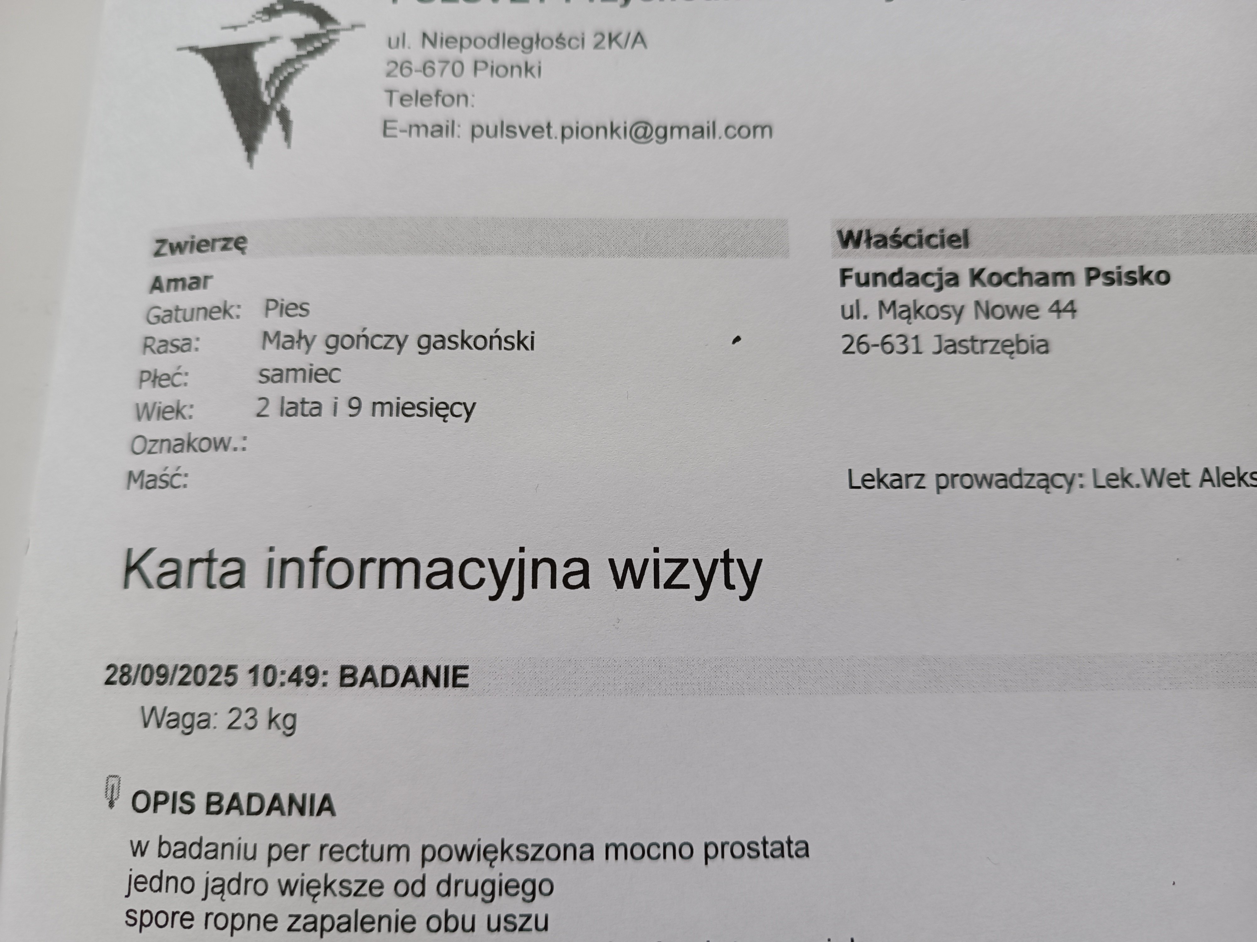 3QERyPpzQOSewVg1.jpg