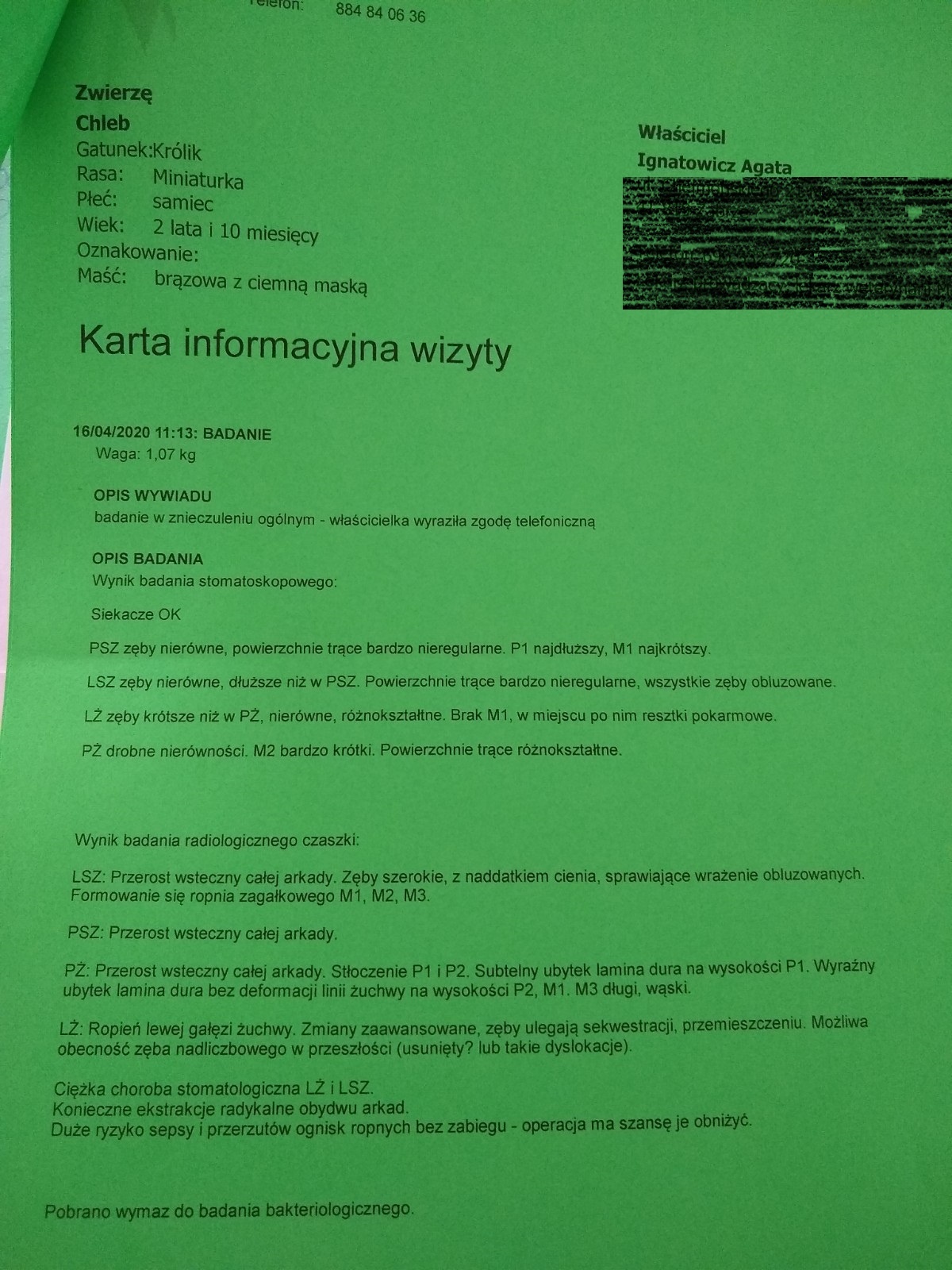 b623a31e467b114d.jpeg