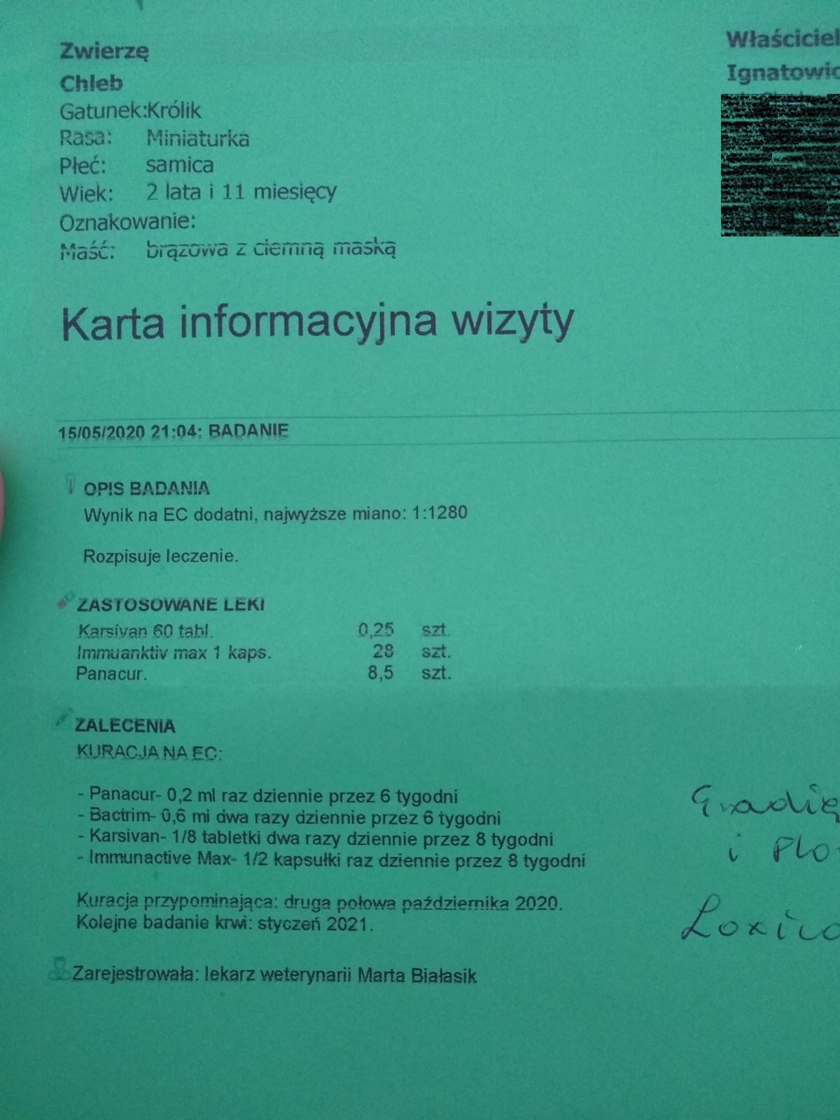 dbe185ebb05f1026.jpeg