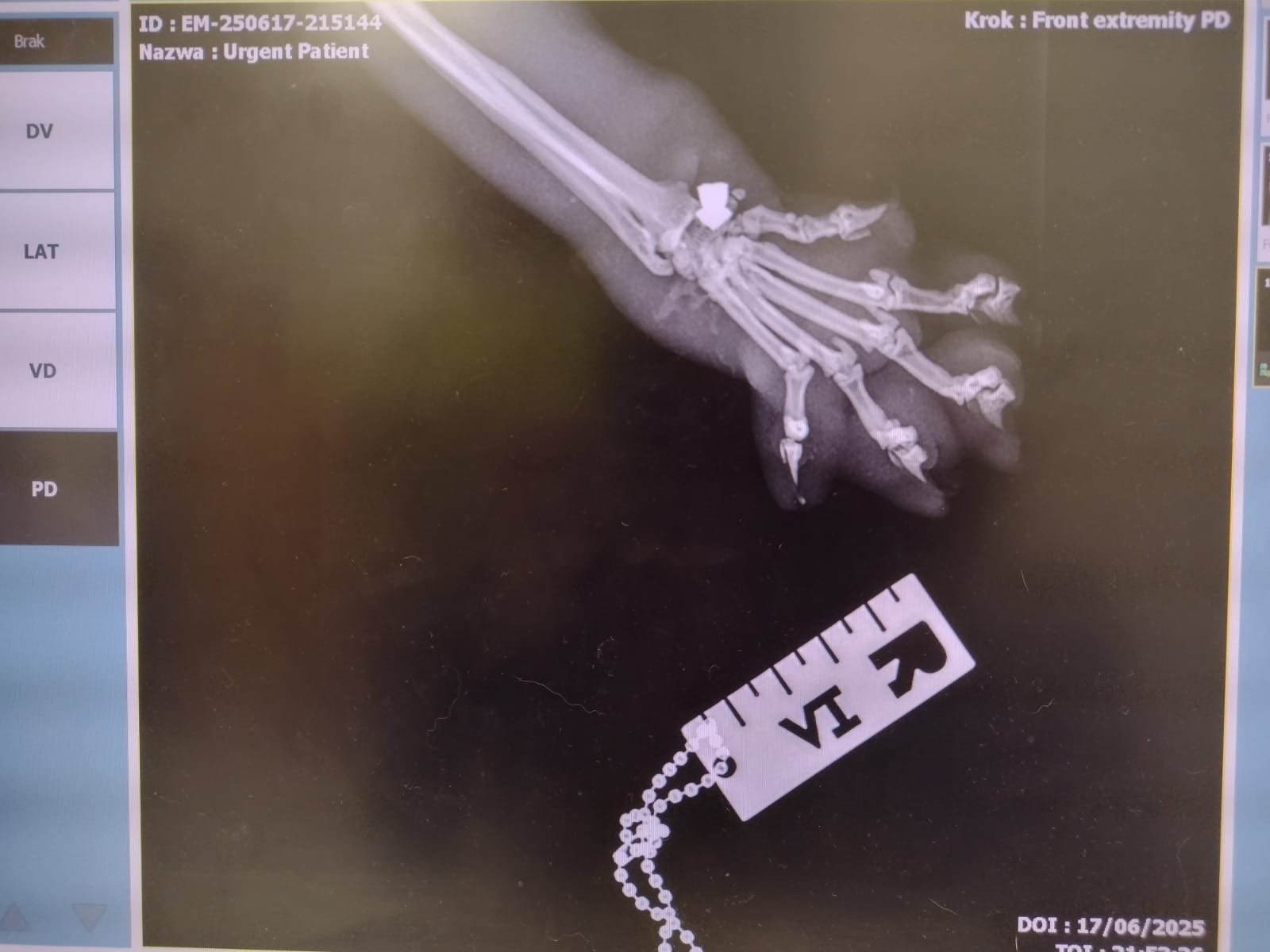 7g8F2cyQhXcsNSiO.jpg