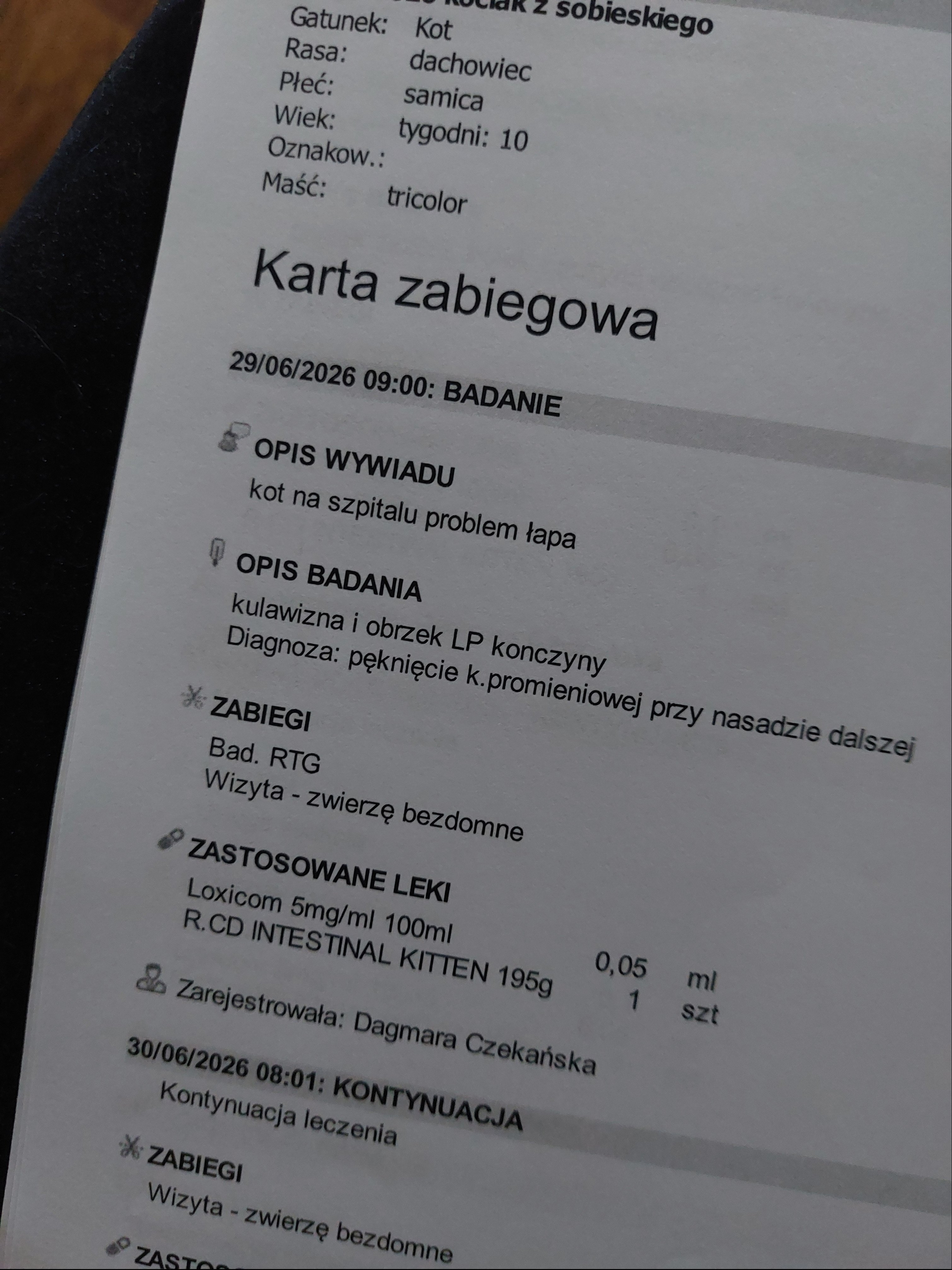 lpJIq15jLSTiLi0Q.jpg