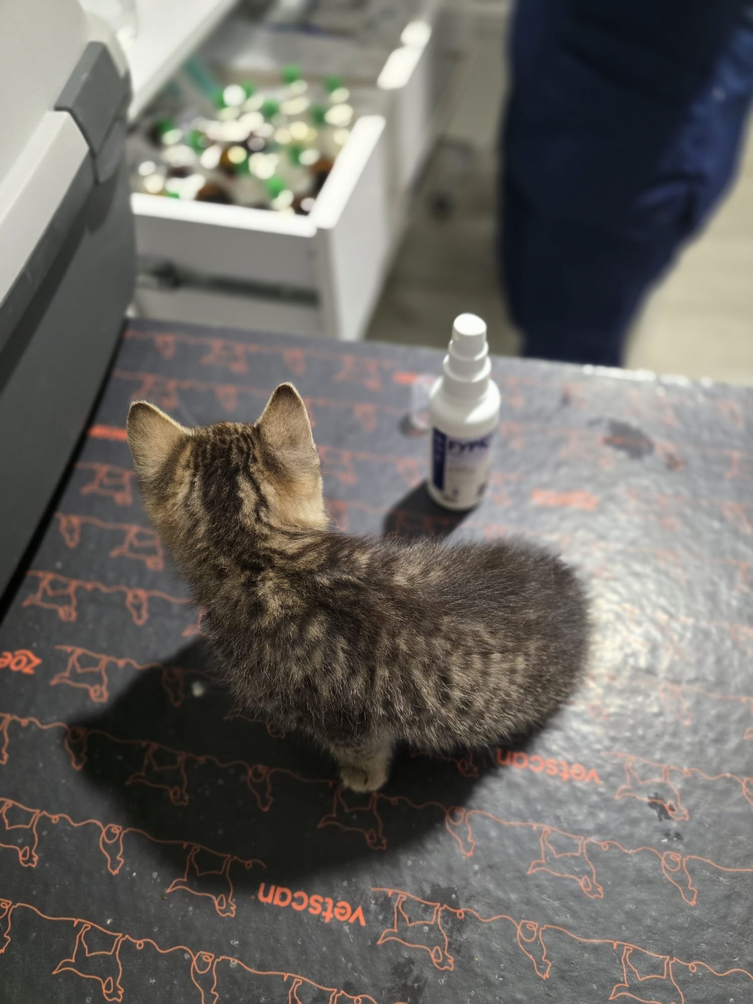 VWmQ8tTVCzgmLfH8.jpg