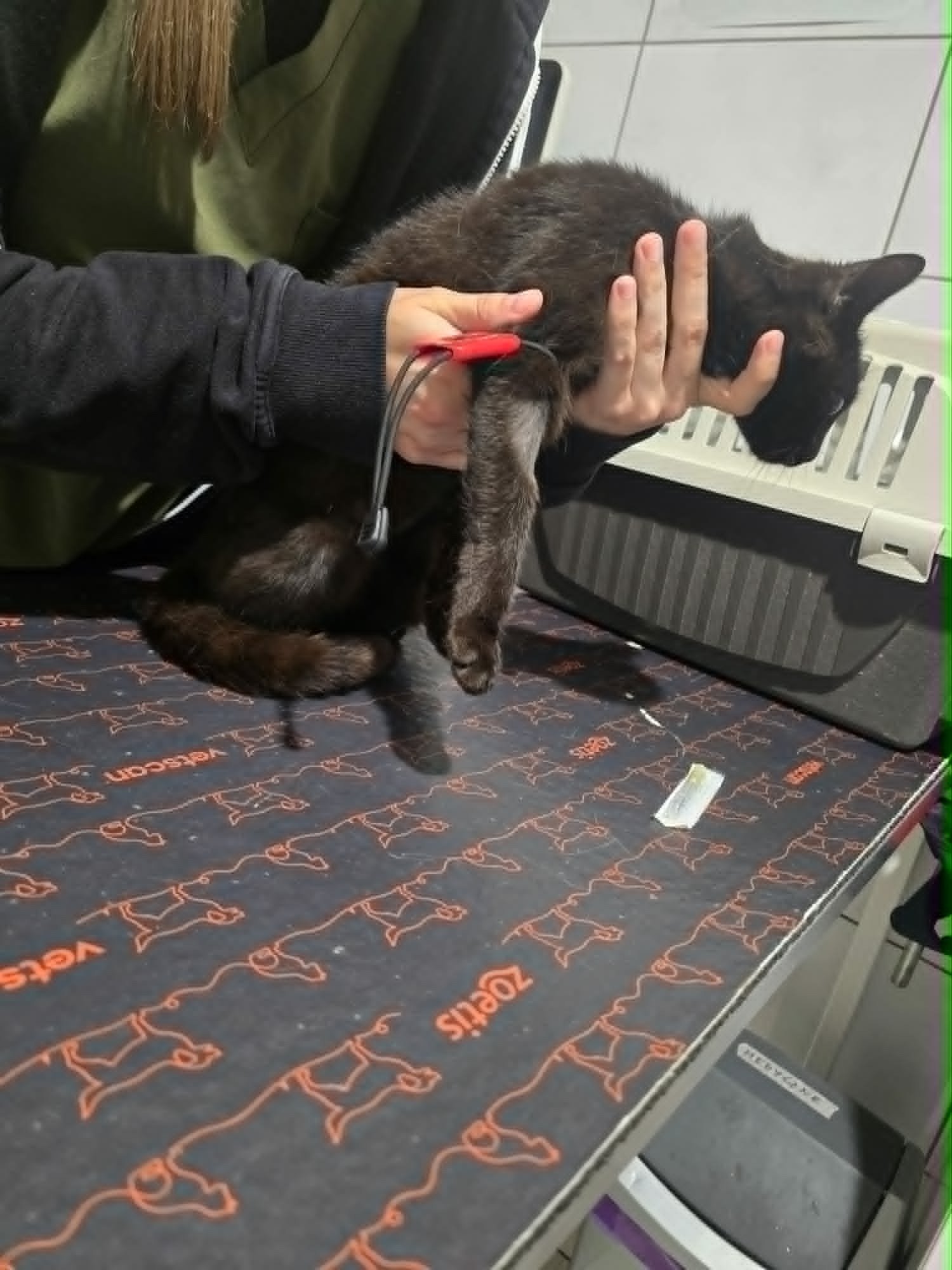 zCAfd5vg9hwDqLyG.jpg