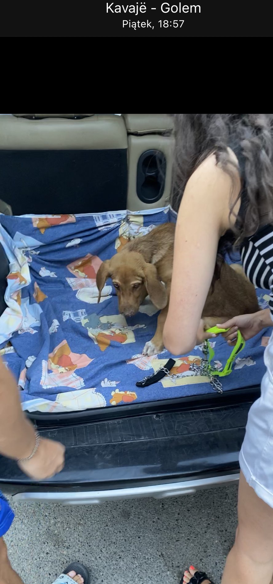 n98946213b2a6ca6.jpeg