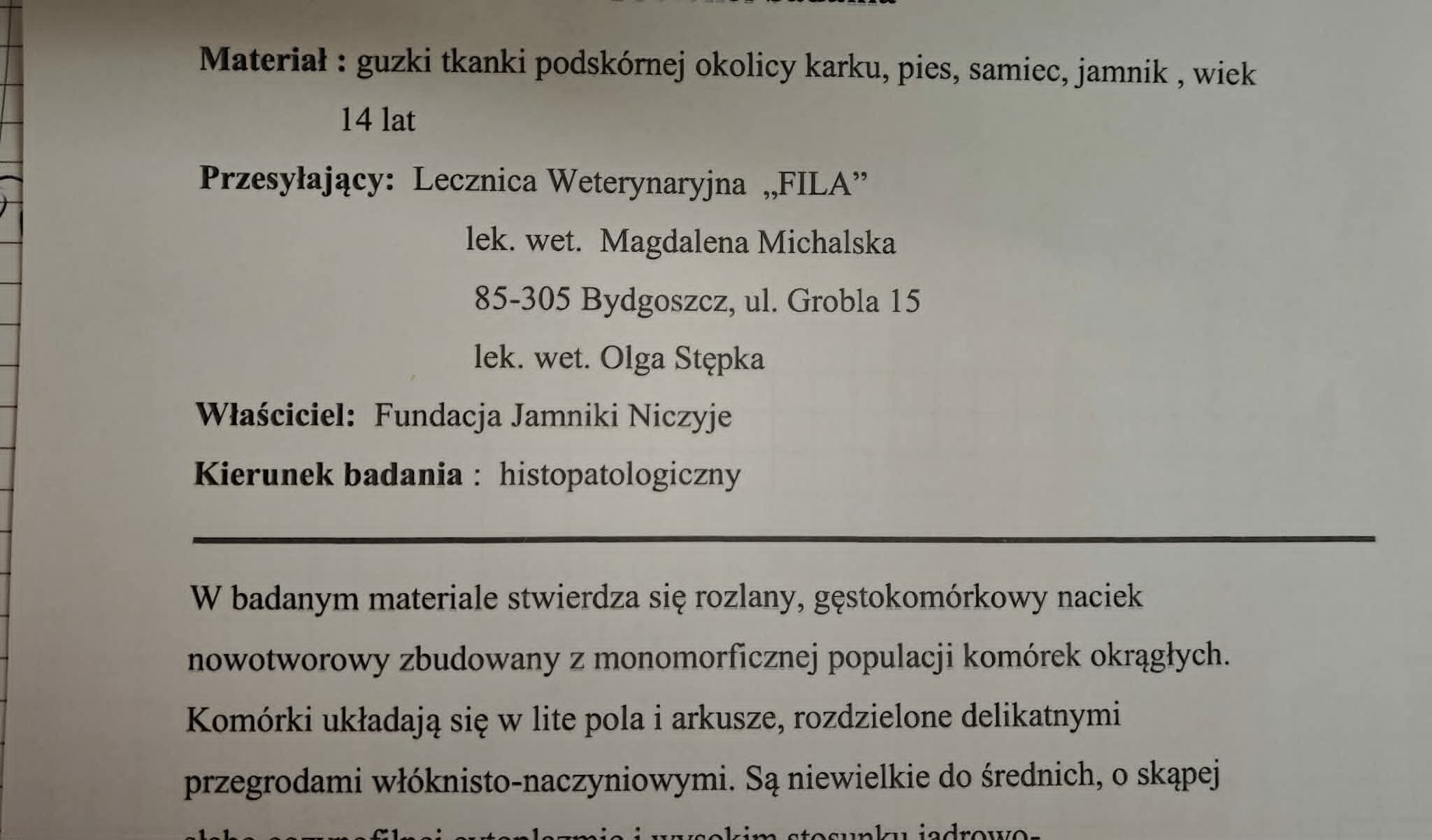 u5OSdAul81bcMwnB.jpg