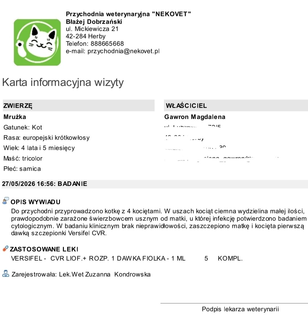 Y4pD9fOGRSw4ICdO.jpg