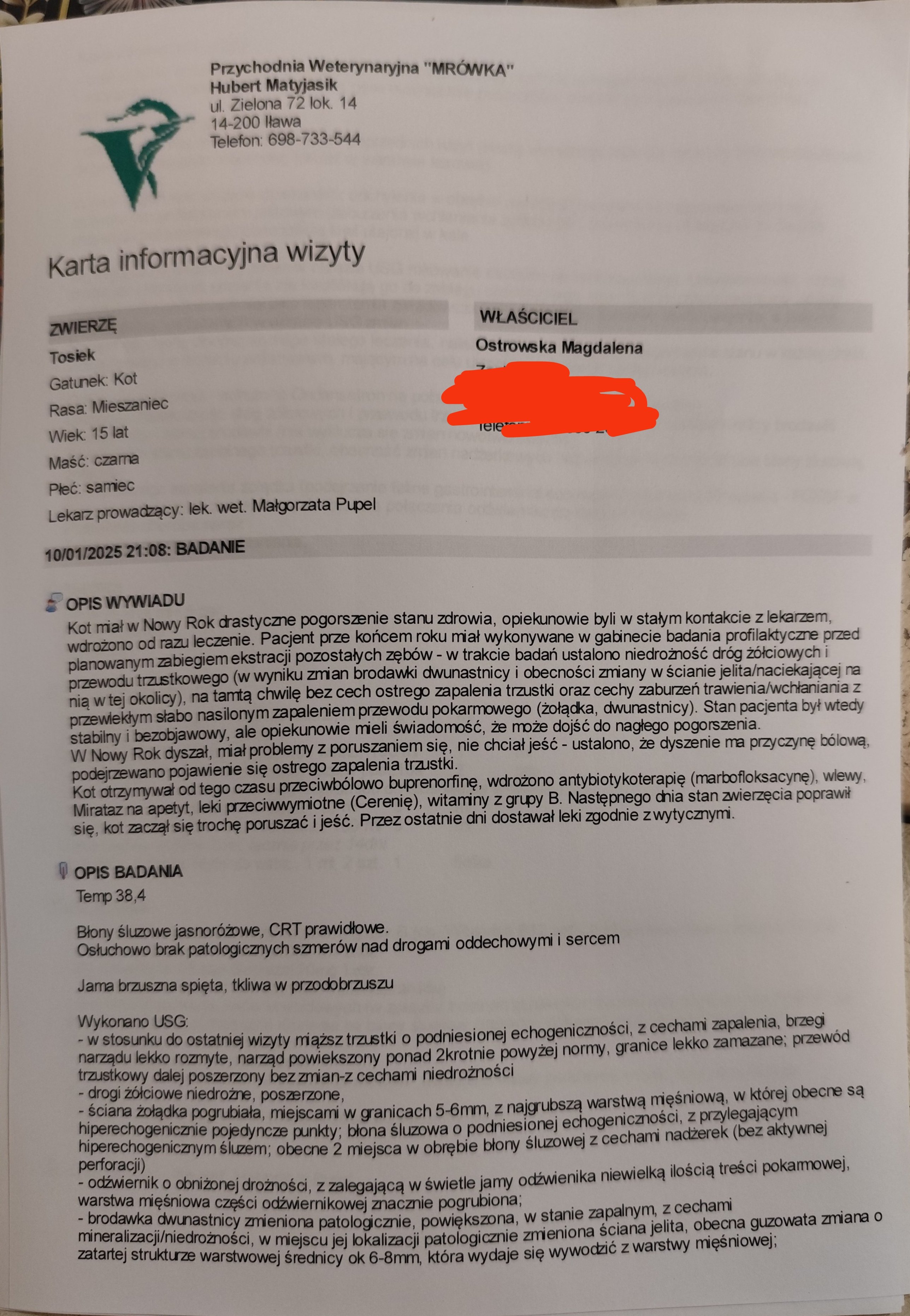 xpQDuN7dGTESfS4A.jpg