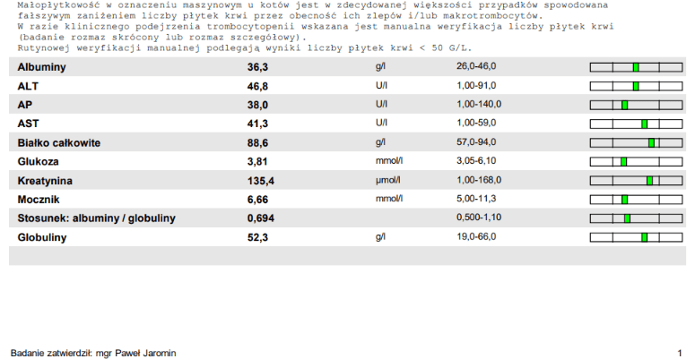 aHE0dB1CYcBHyIpu.png