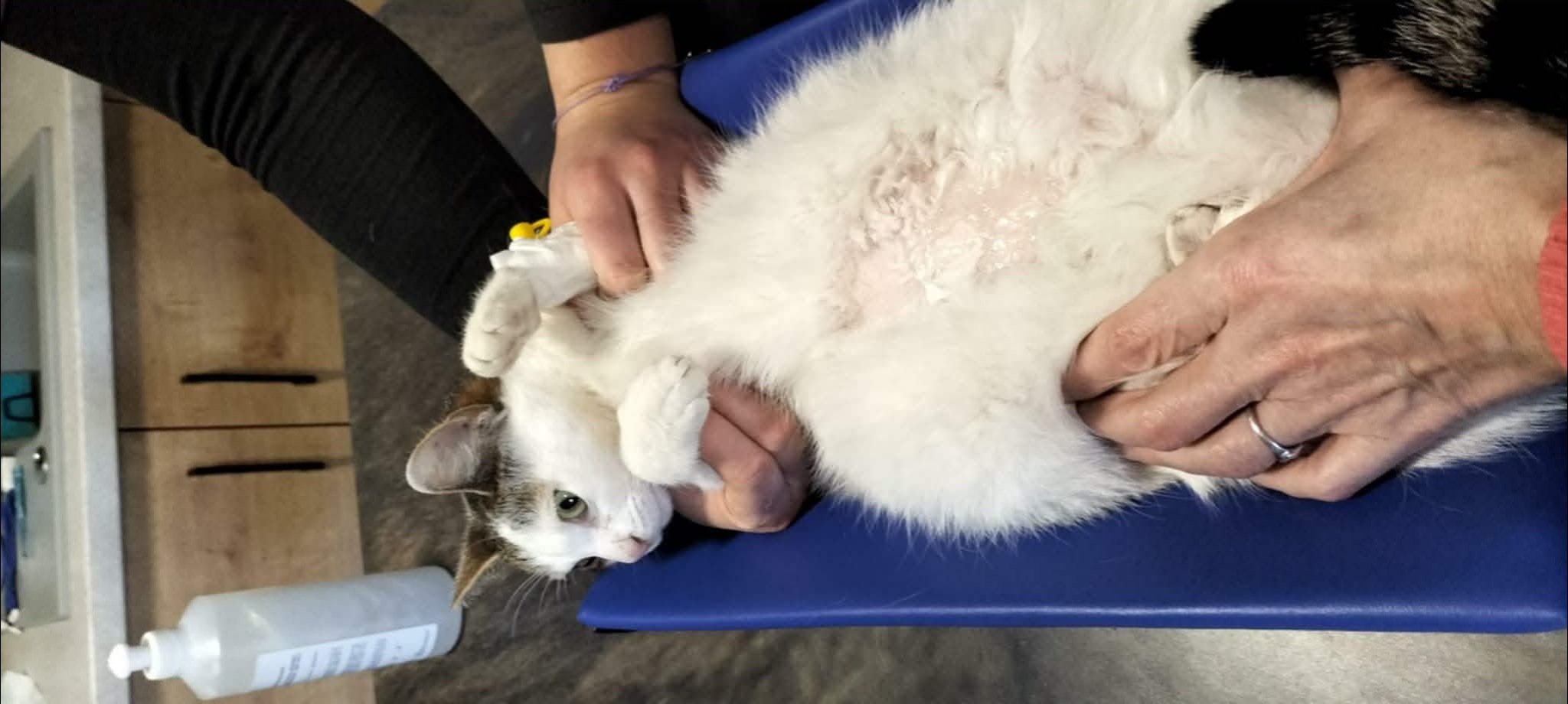 zzi9EbXlkDIq5QjC.jpg