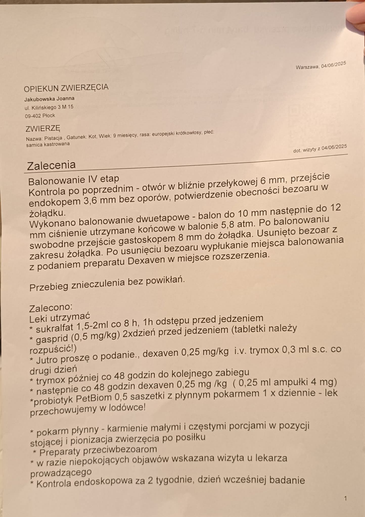 VLsazmviKCV0JvQc.jpg
