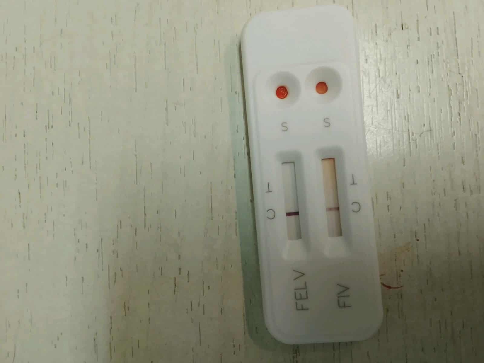eKLhV9Bx26wlCdOx.jpg