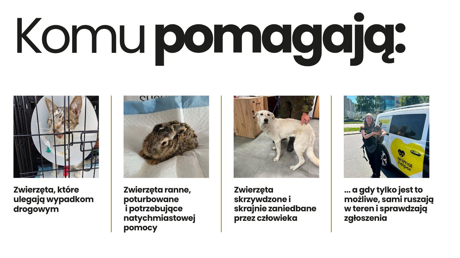eO8njdEHDiKPi2F4.jpg