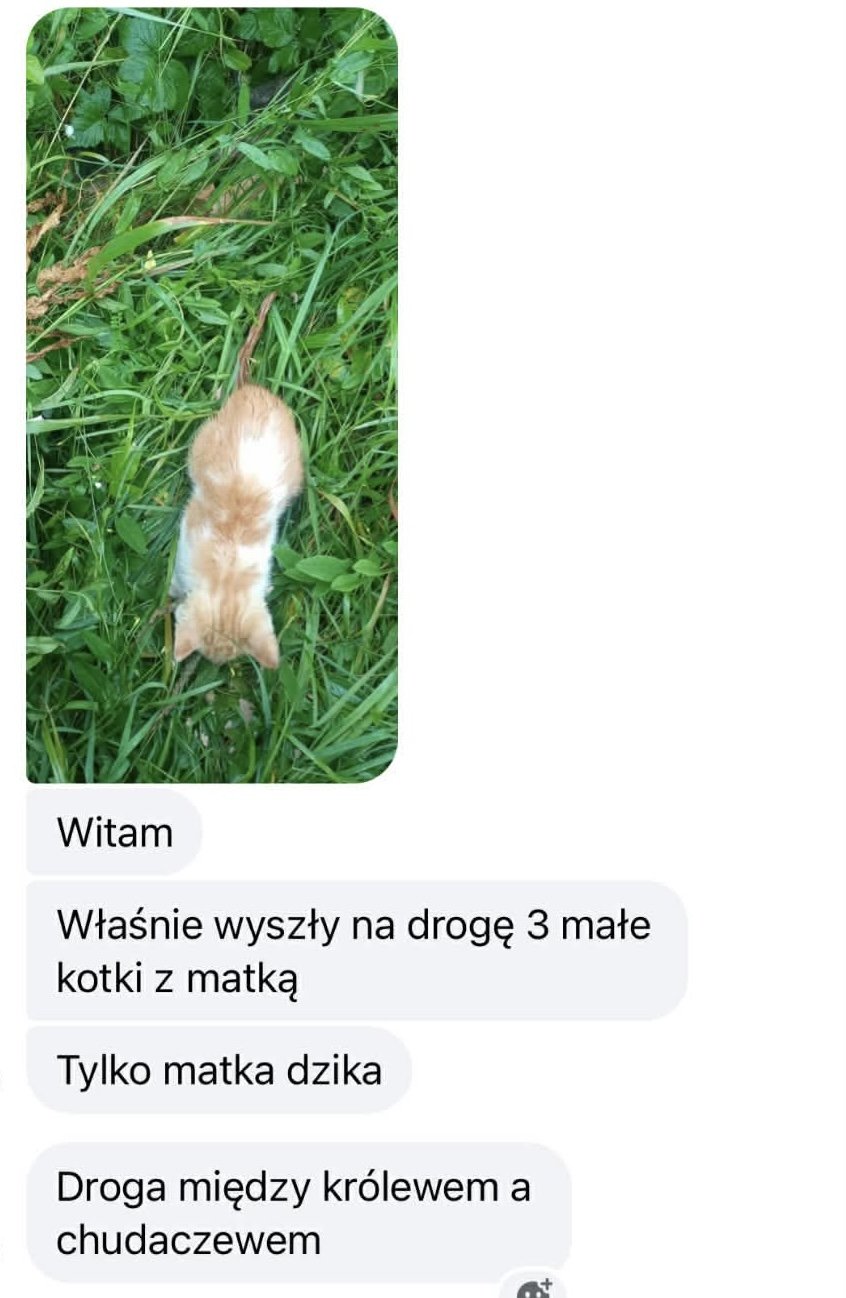 dgpn8WnPHb7L1Ih2.jpg