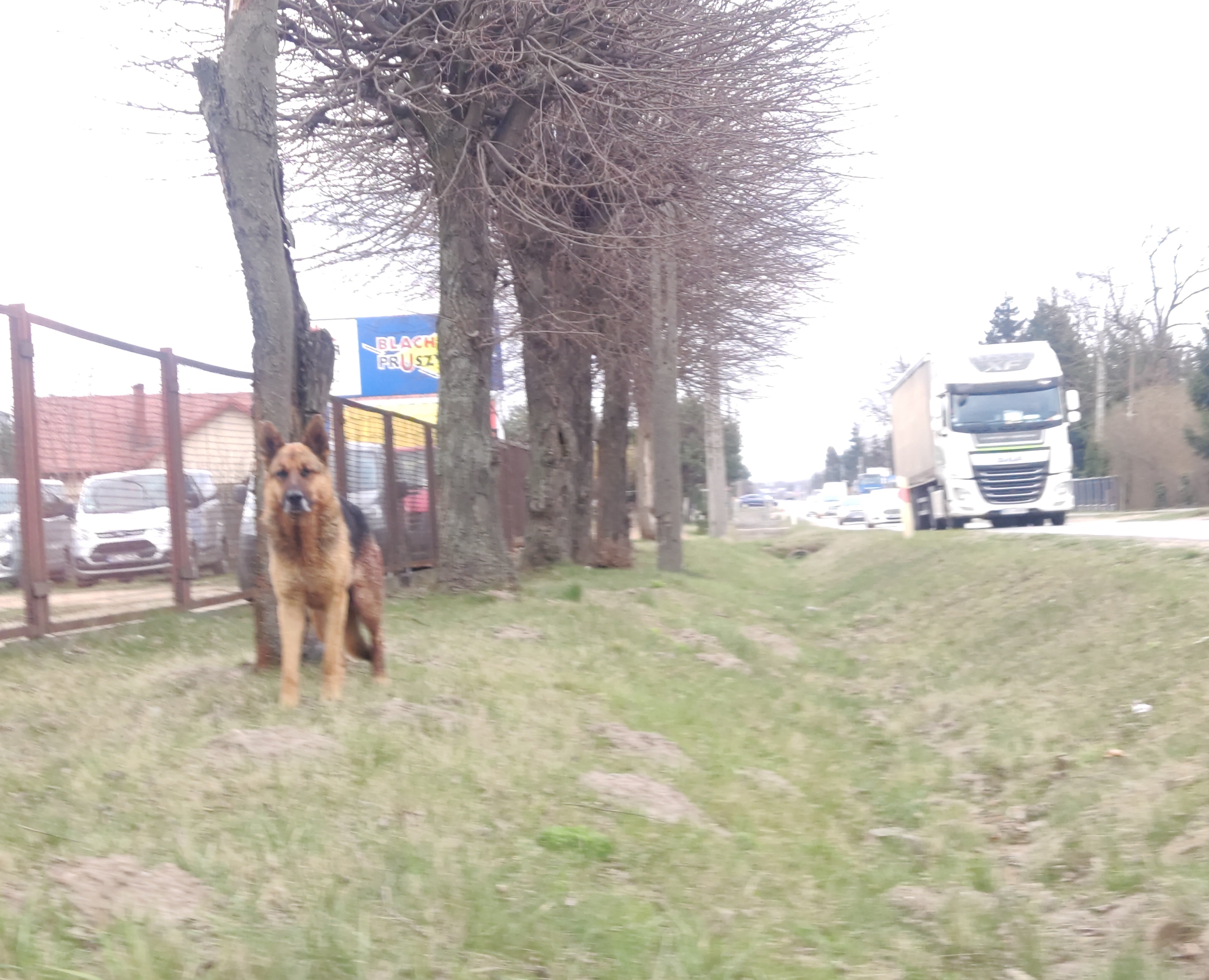 u416a5602a19d67a.jpeg