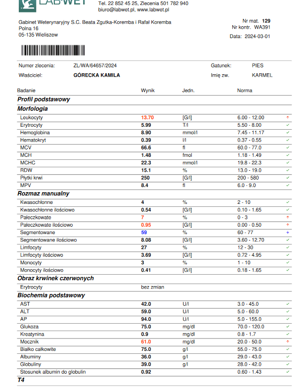 f35dysfvwhXtu916.png