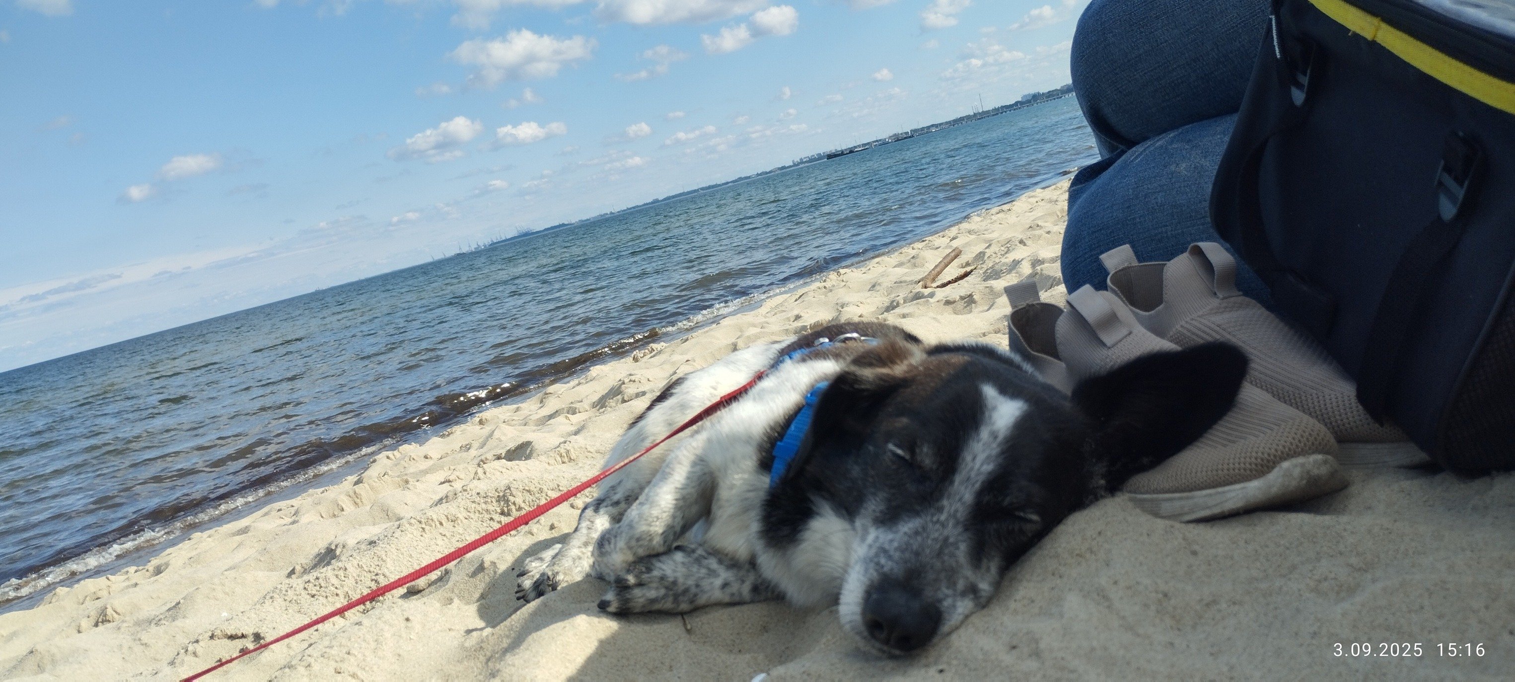 YlSKVQQfbs2Vw2iz.jpg