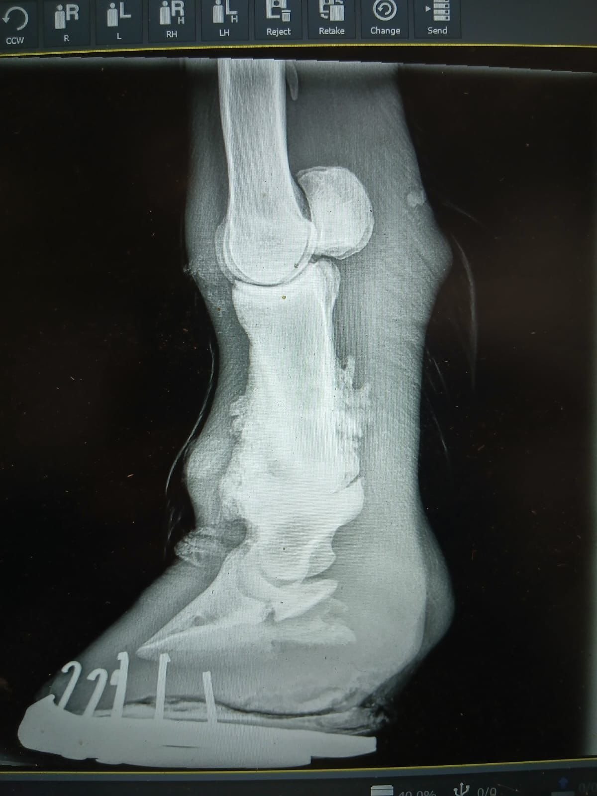 qUjrFwV9Fnz1D5vE.jpg