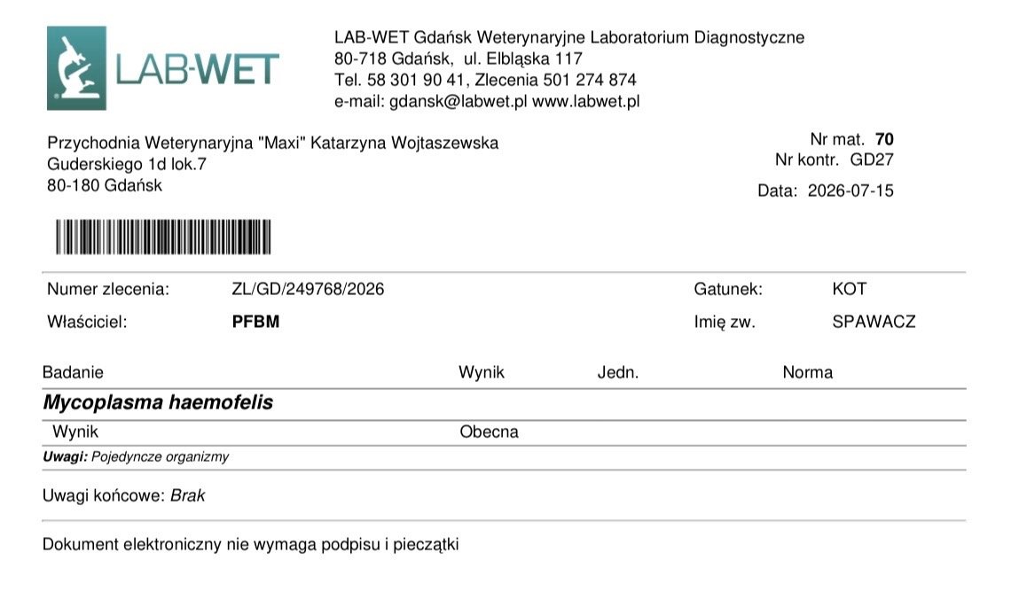 MMbAqGqVRaEv0VGl.jpg