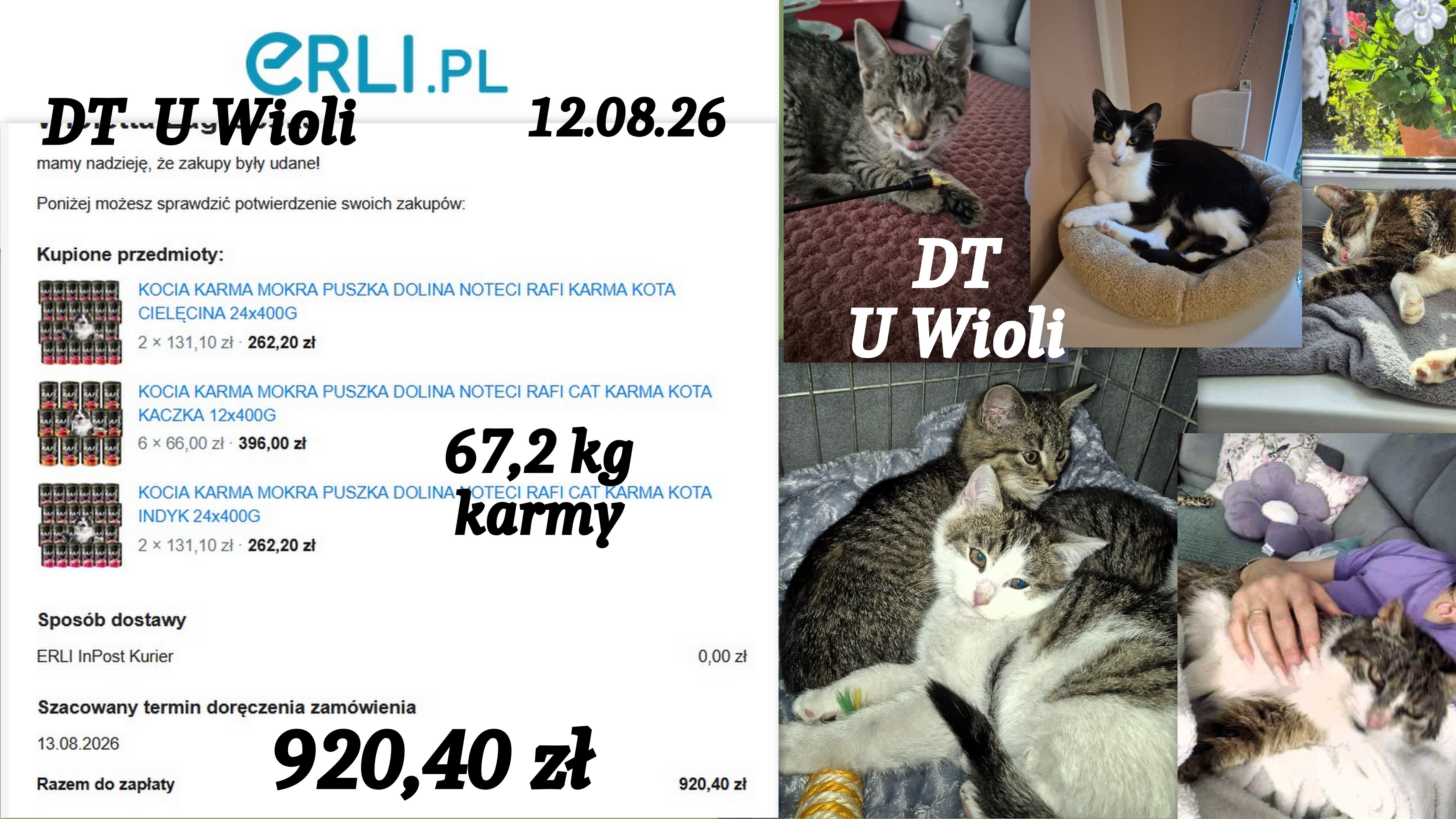 8XbQ2lZYTgnJEf72.jpg