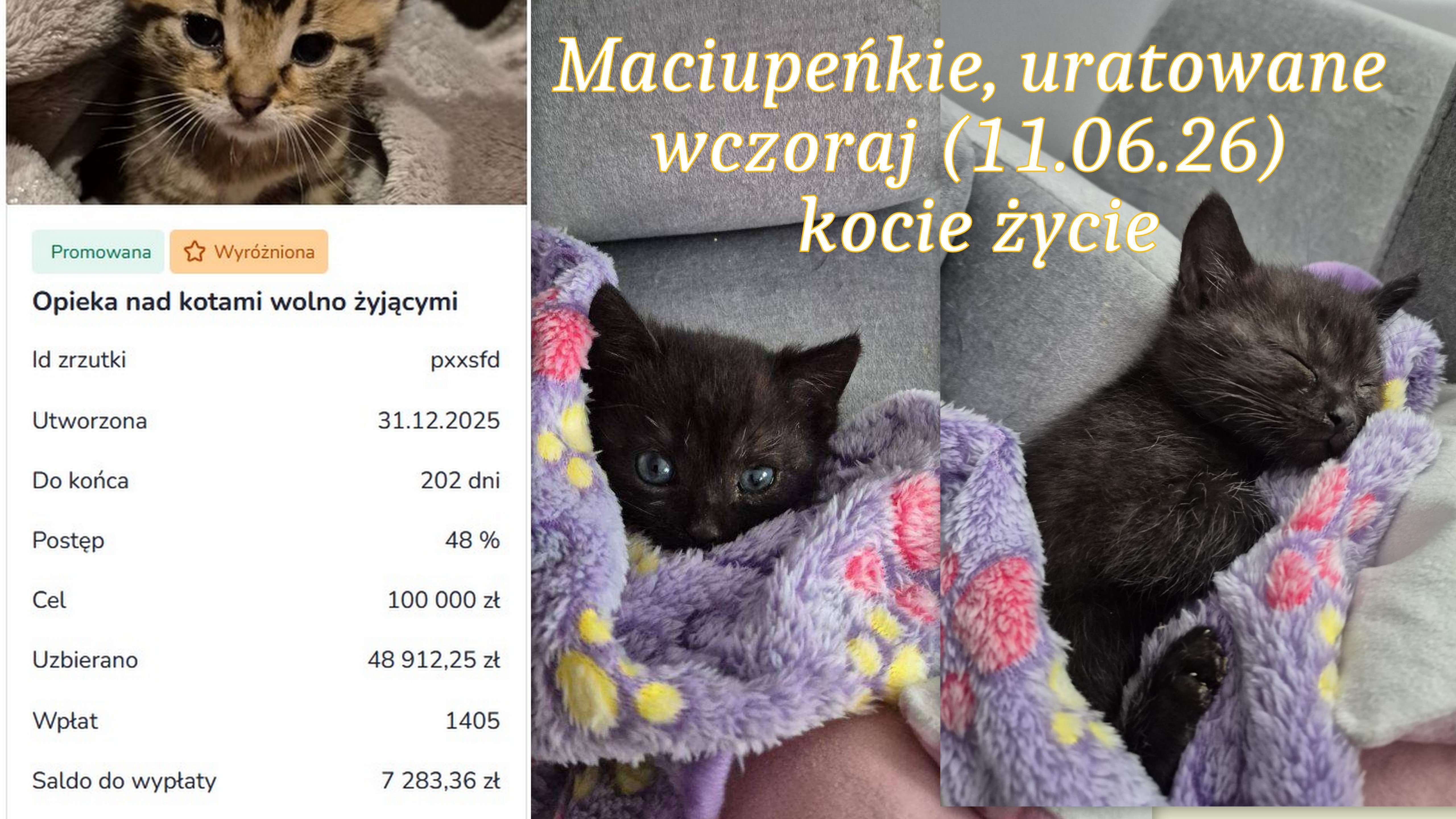 Hip6aXSqzmMQrMXb.jpg