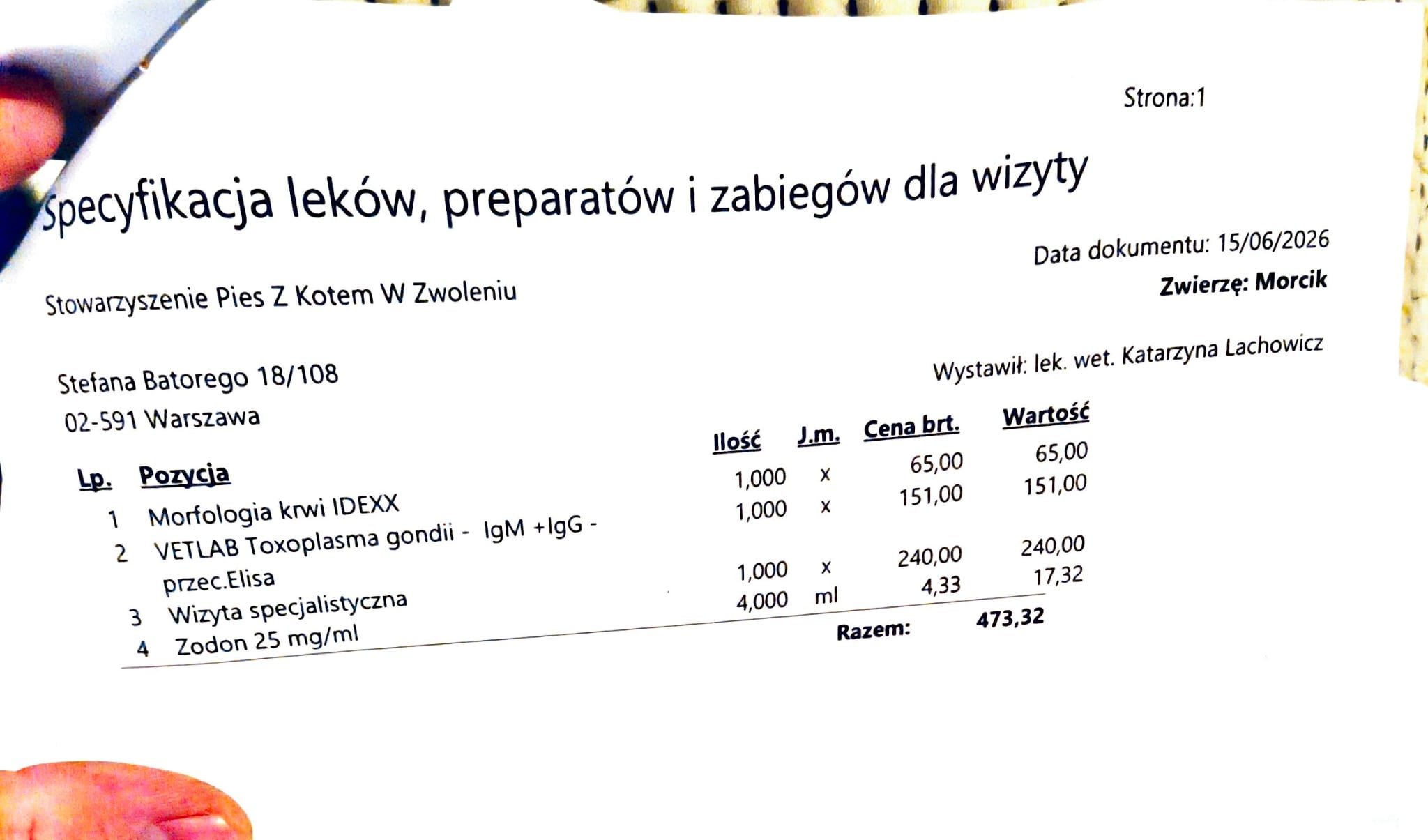 GJz09WmZOGp0AWlI.jpg