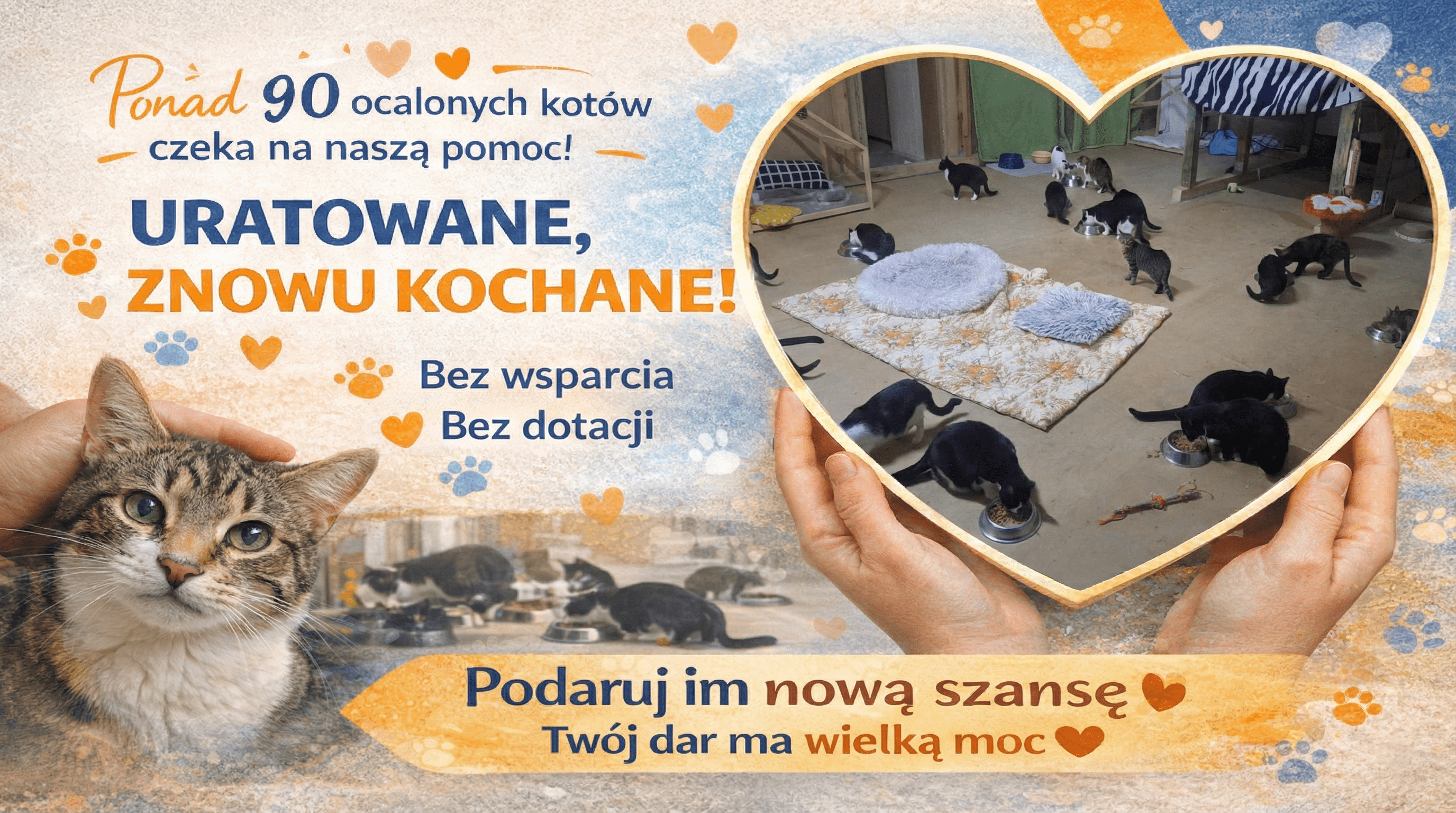 xsqgWIhXwM3jrDnz.png