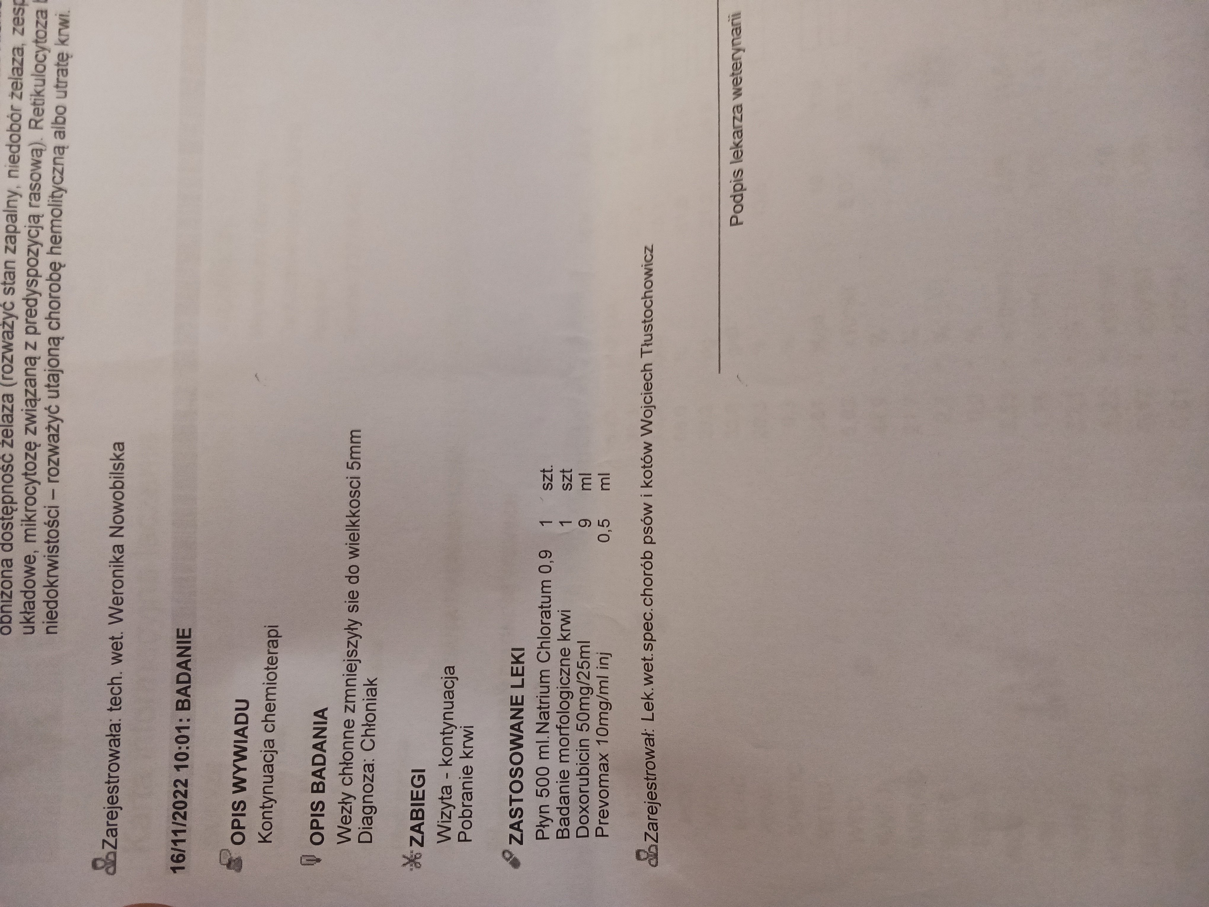 e83a961fed76fd80.jpg